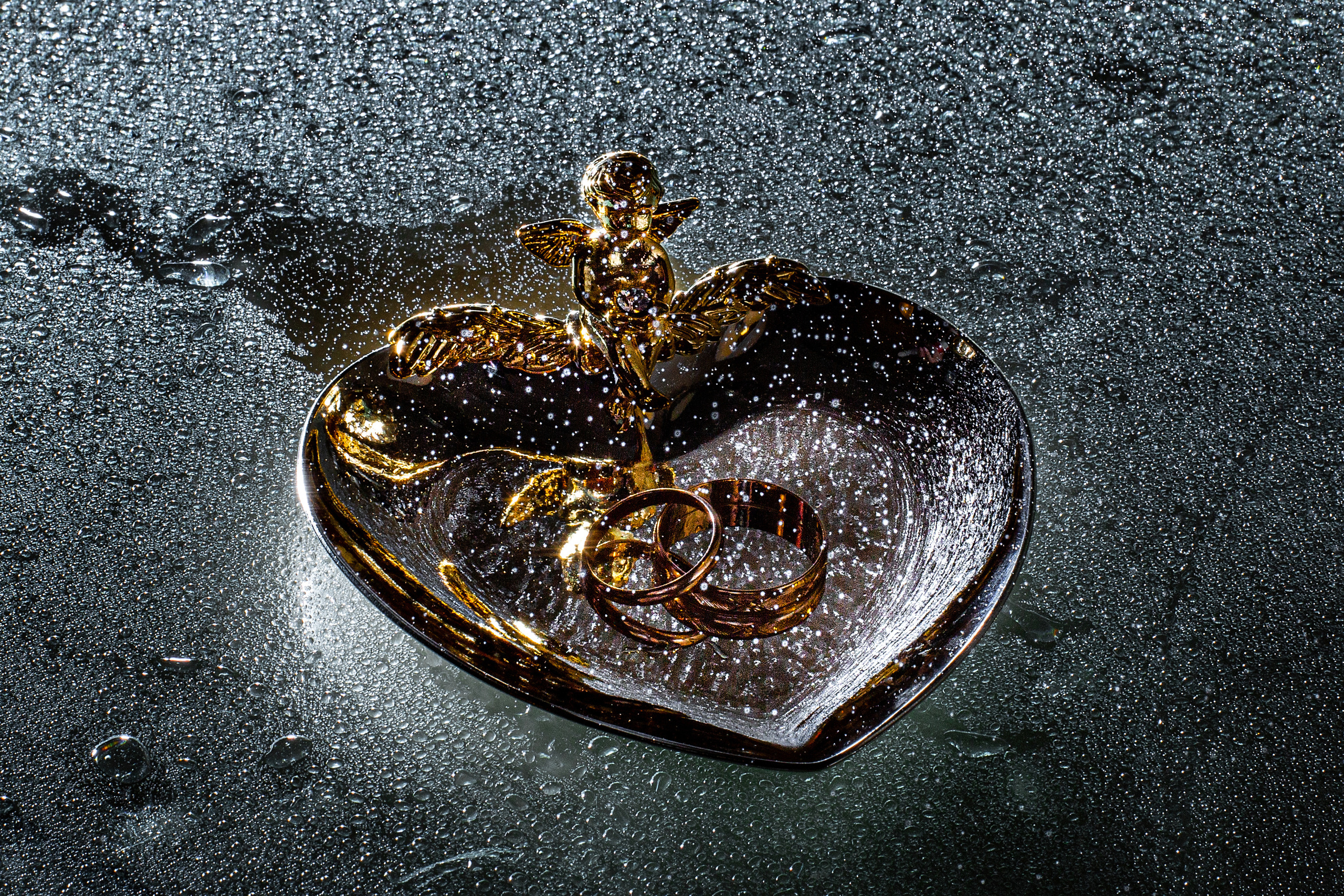 Володя и Таня. Свадебный и семейный фотограф