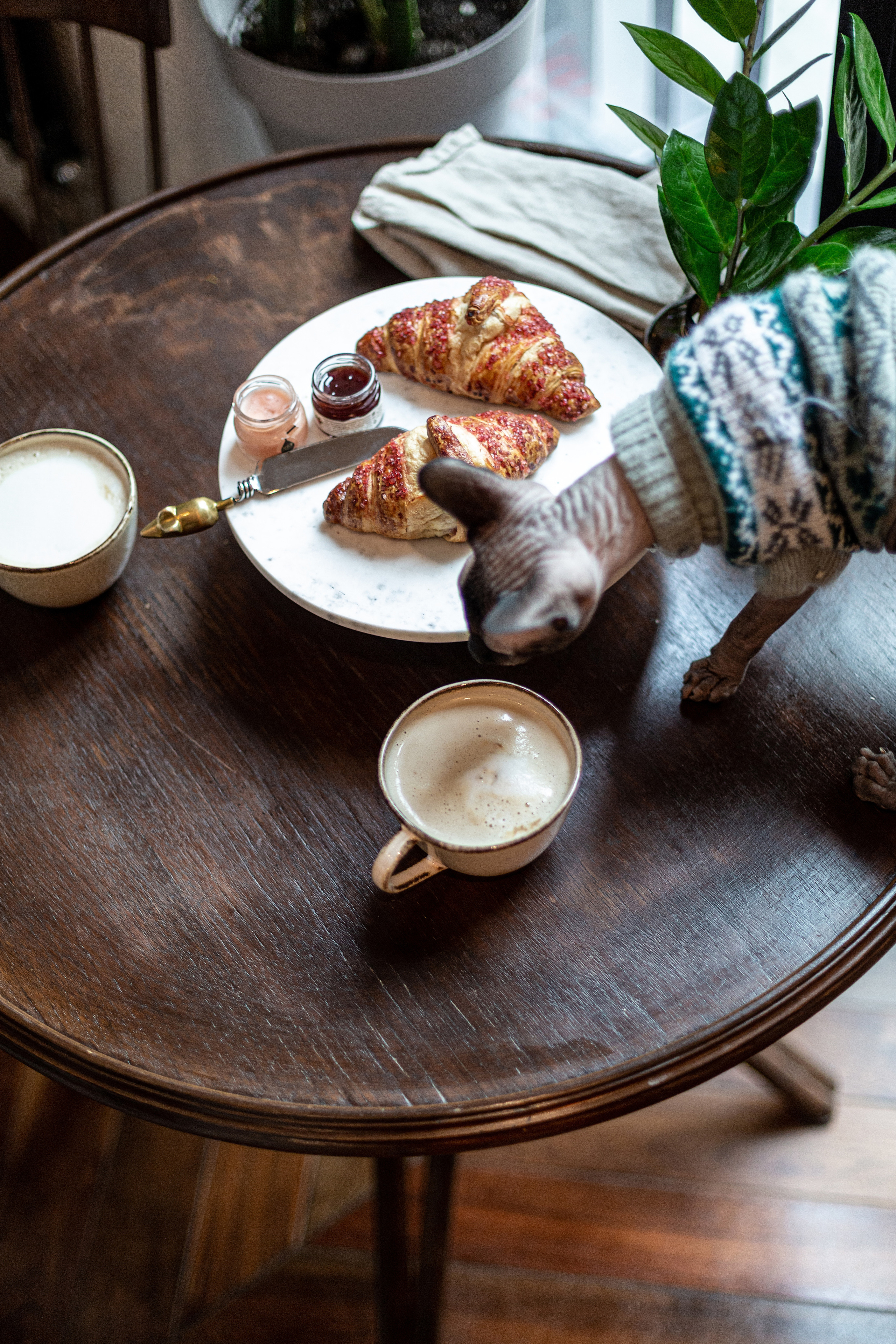 Sweet home. Свадебный и семейный фотограф