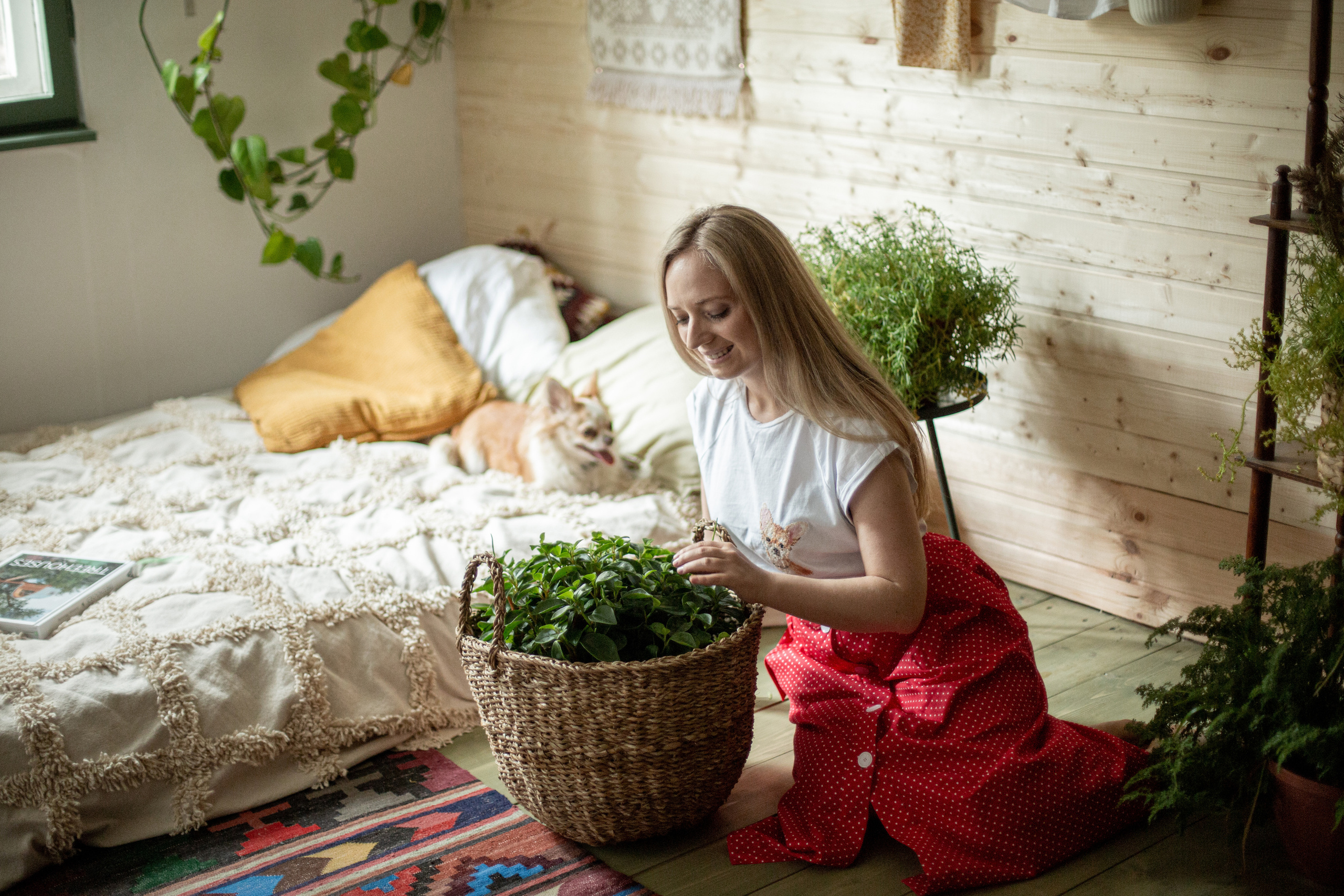 Блог о животных. Свадебный и семейный фотограф