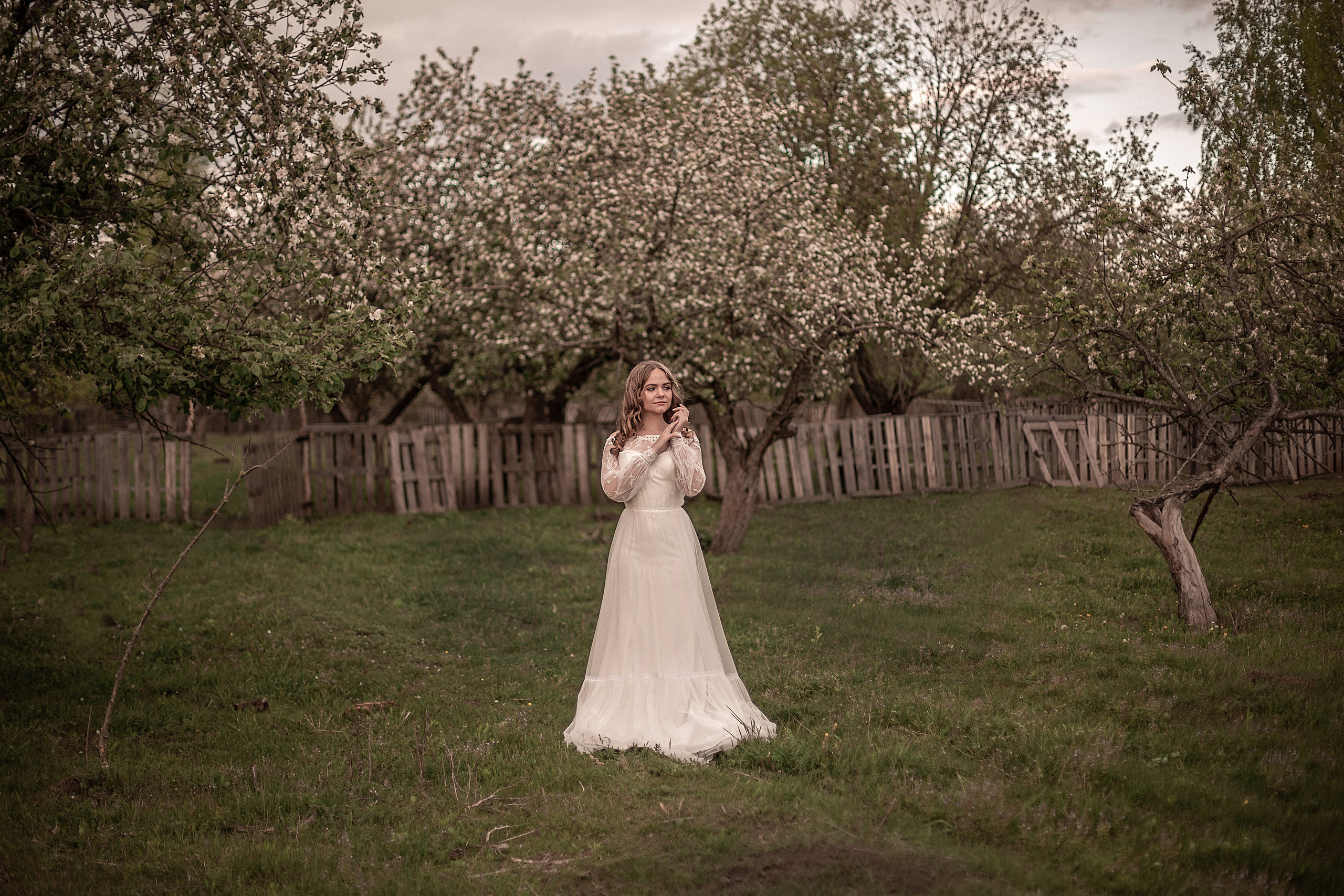 Ягненок. Свадебный и семейный фотограф