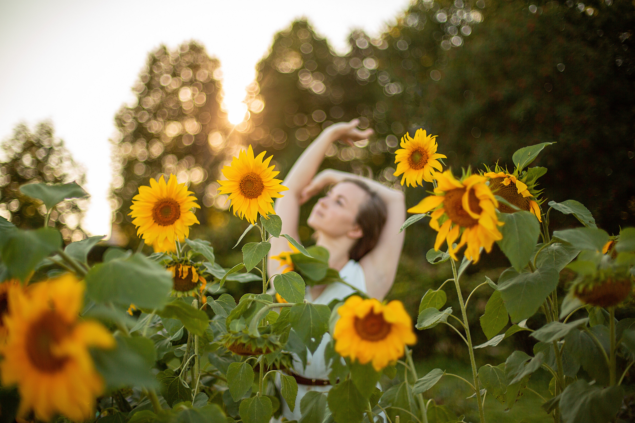 Подсолнухи. Свадебный и семейный фотограф