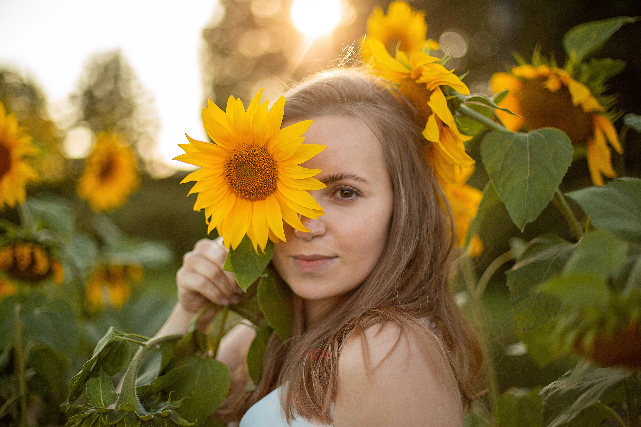 Подсолнухи. Свадебный и семейный фотограф