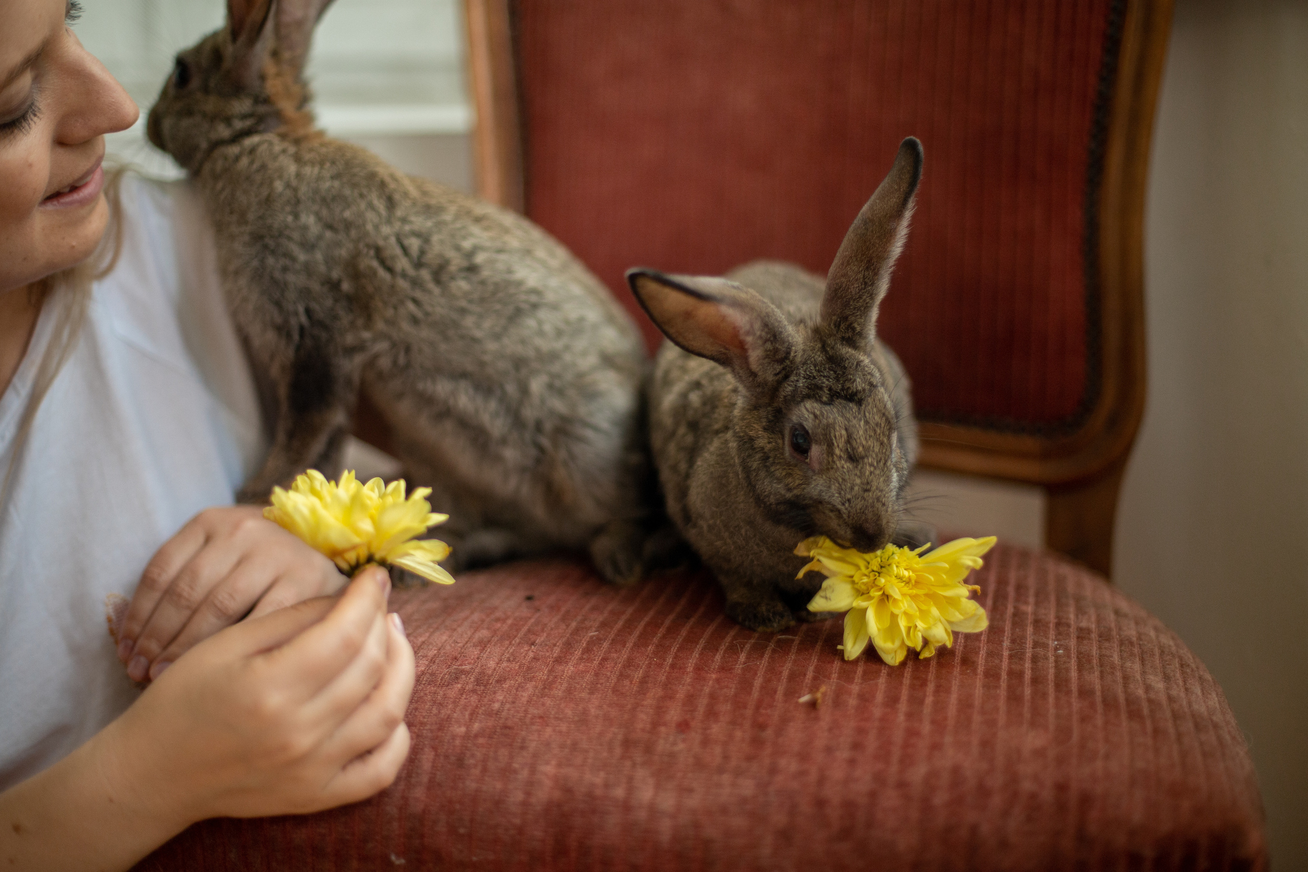 Блог о животных. Свадебный и семейный фотограф