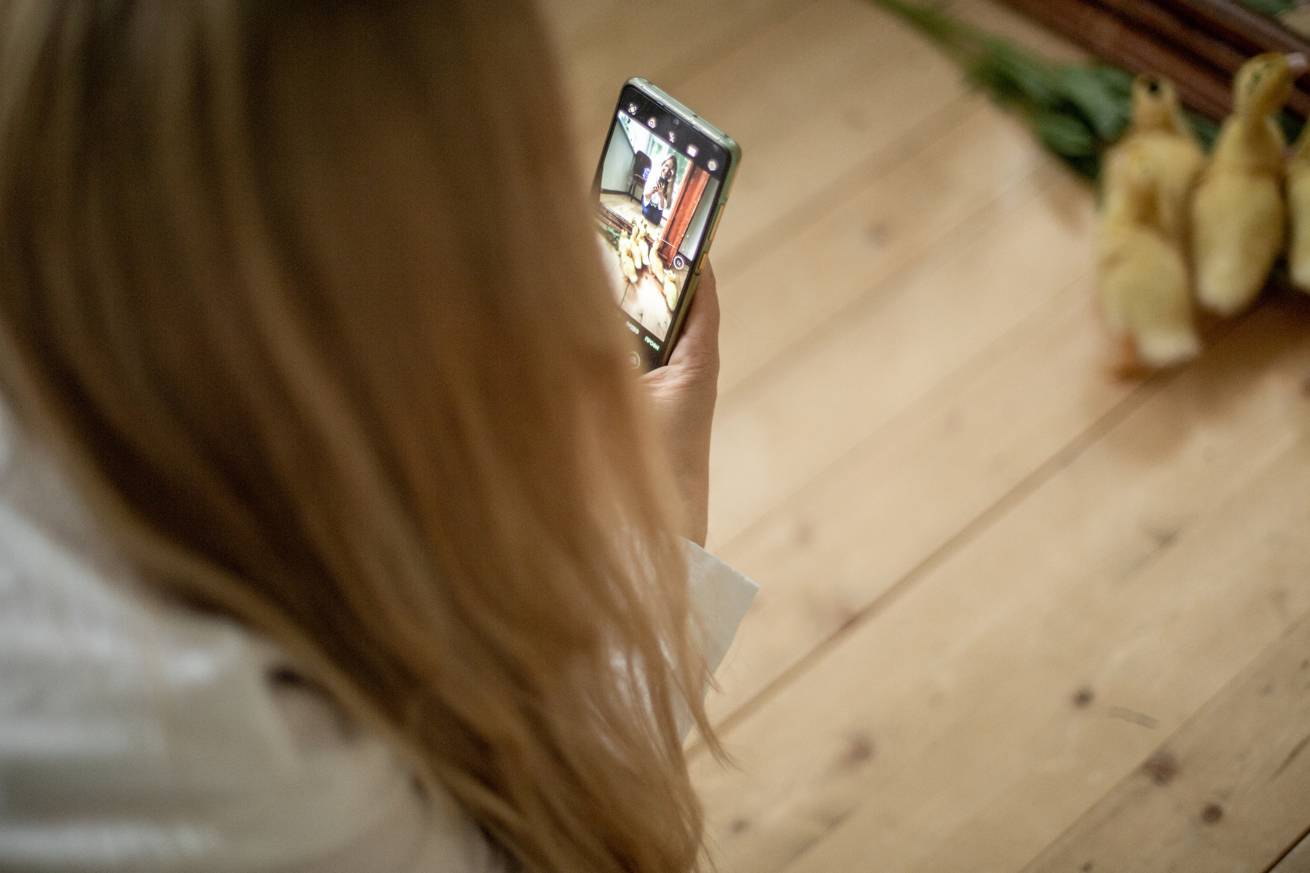 Блог о животных. Свадебный и семейный фотограф