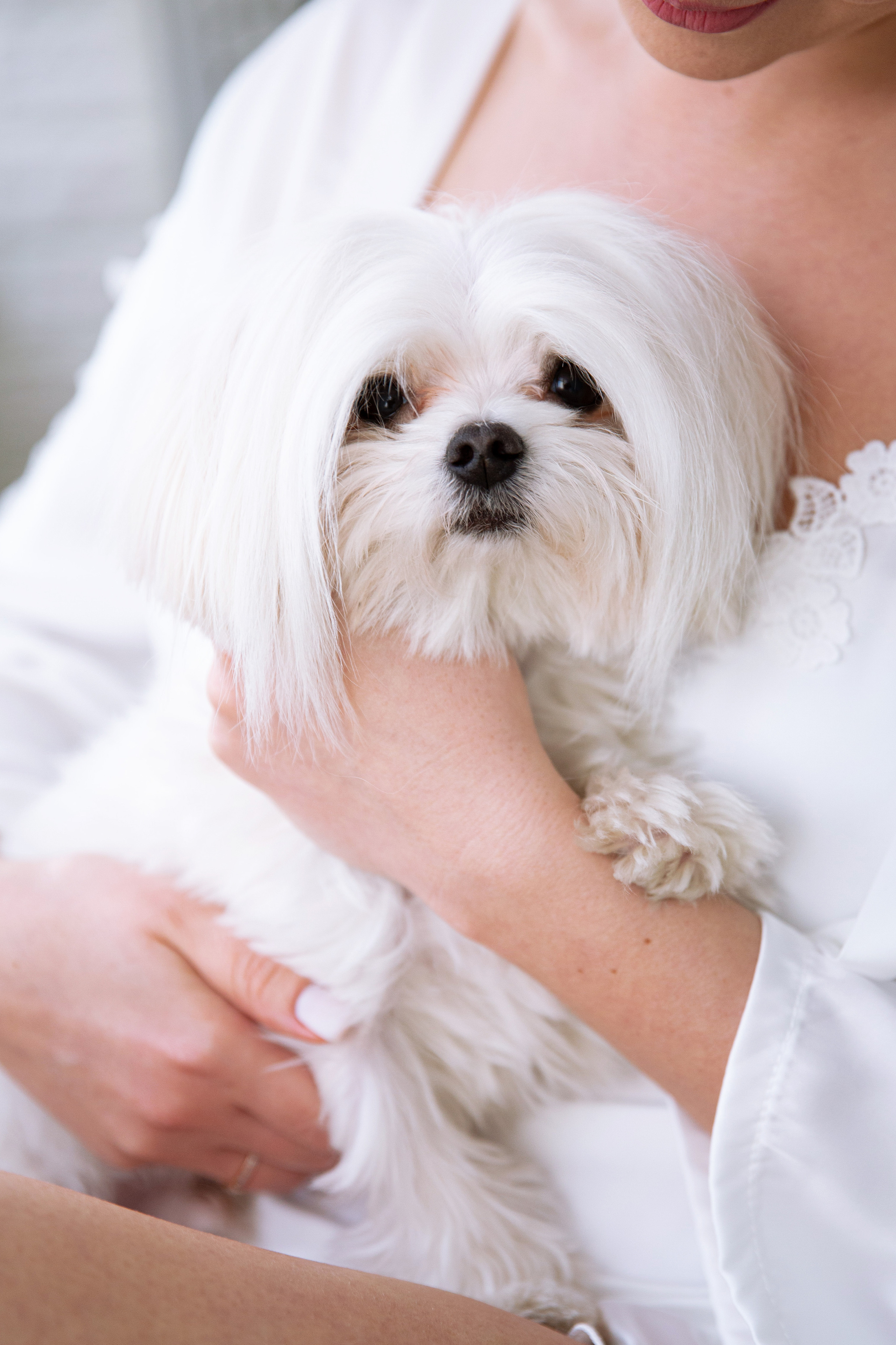 Олег и Оксана. Свадебный и семейный фотограф