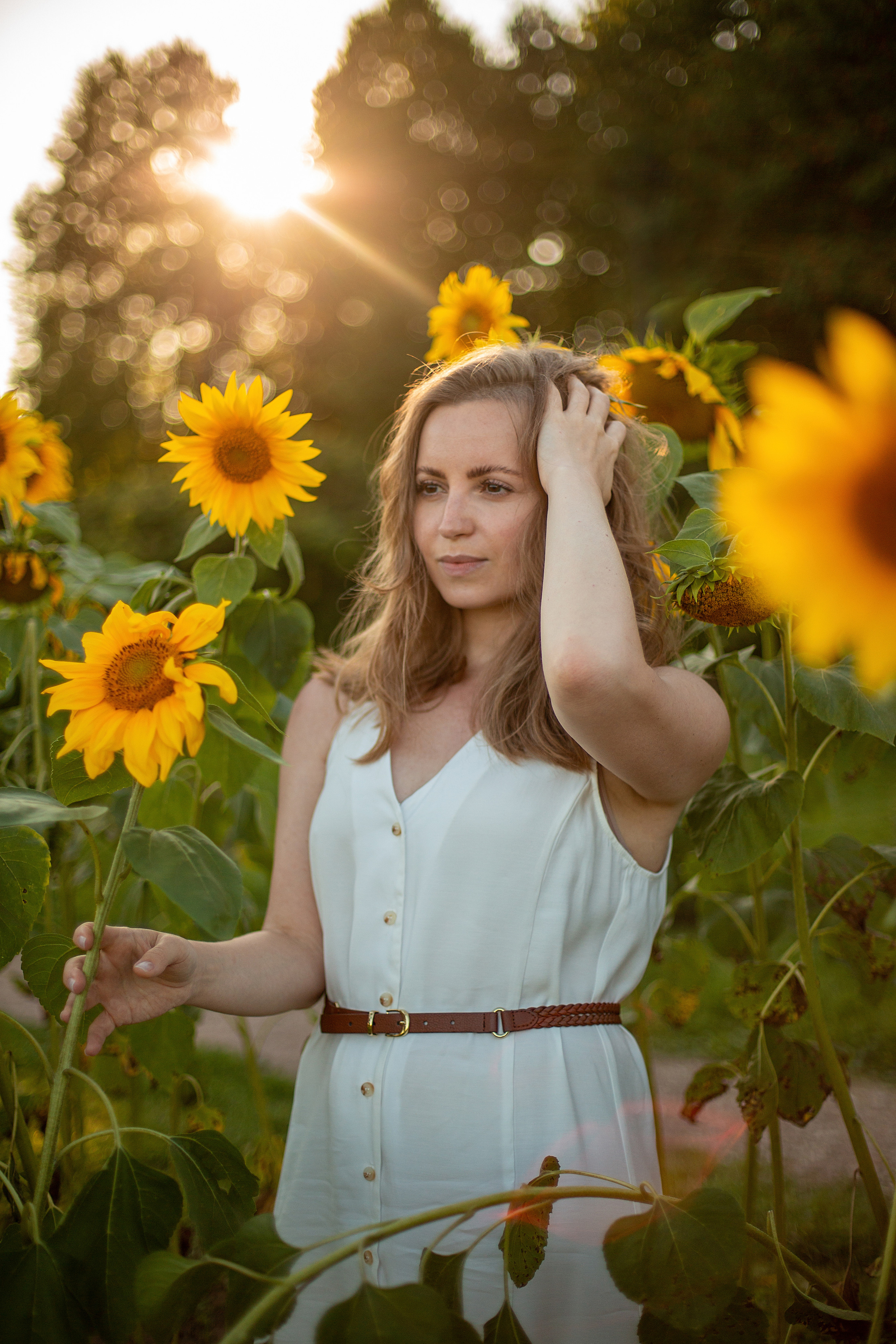 Подсолнухи. Свадебный и семейный фотограф