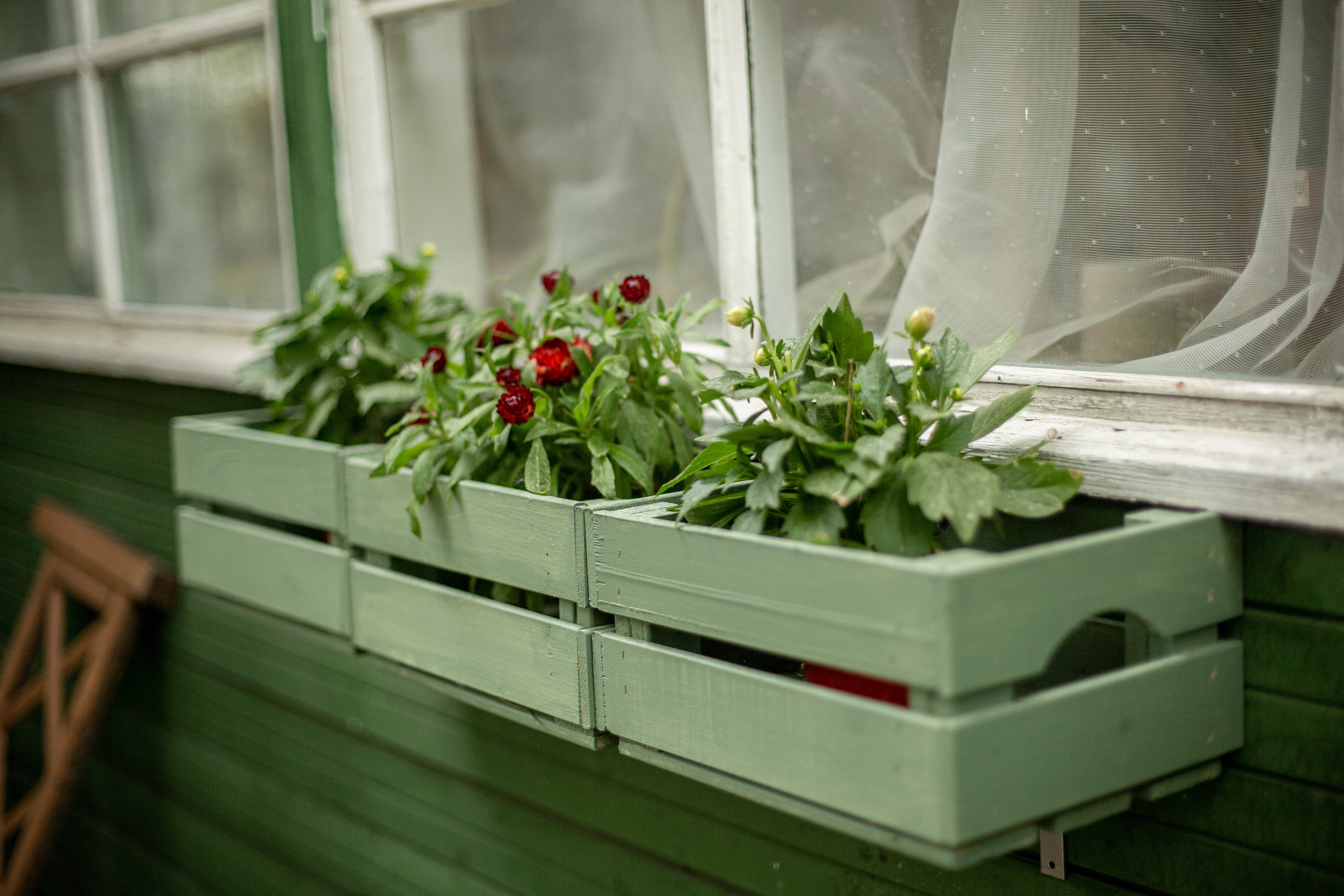 Блог о животных. Свадебный и семейный фотограф