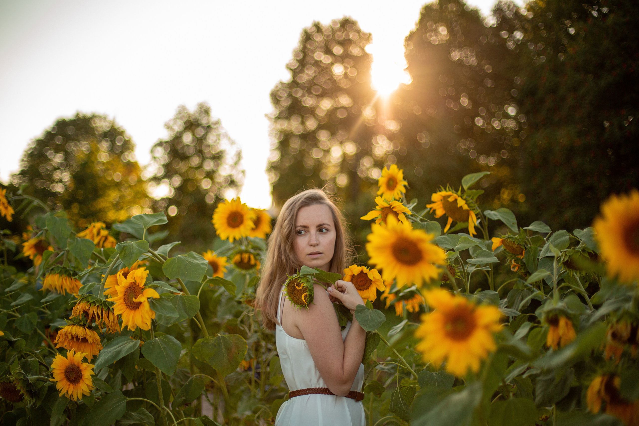 Подсолнухи. Свадебный и семейный фотограф
