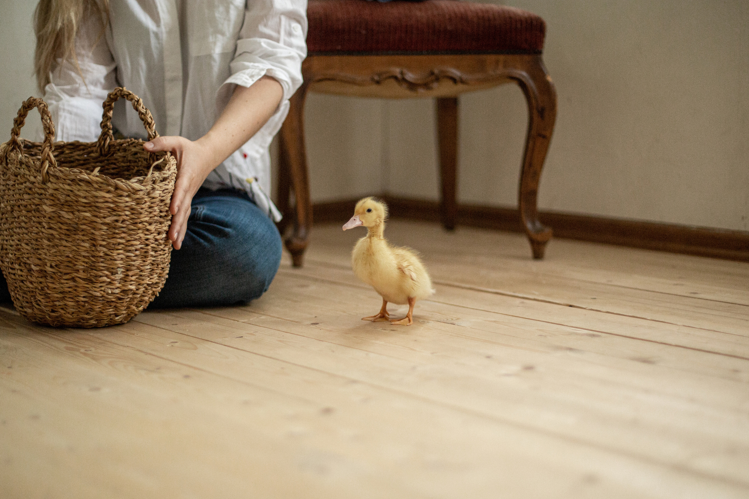 Блог о животных. Свадебный и семейный фотограф