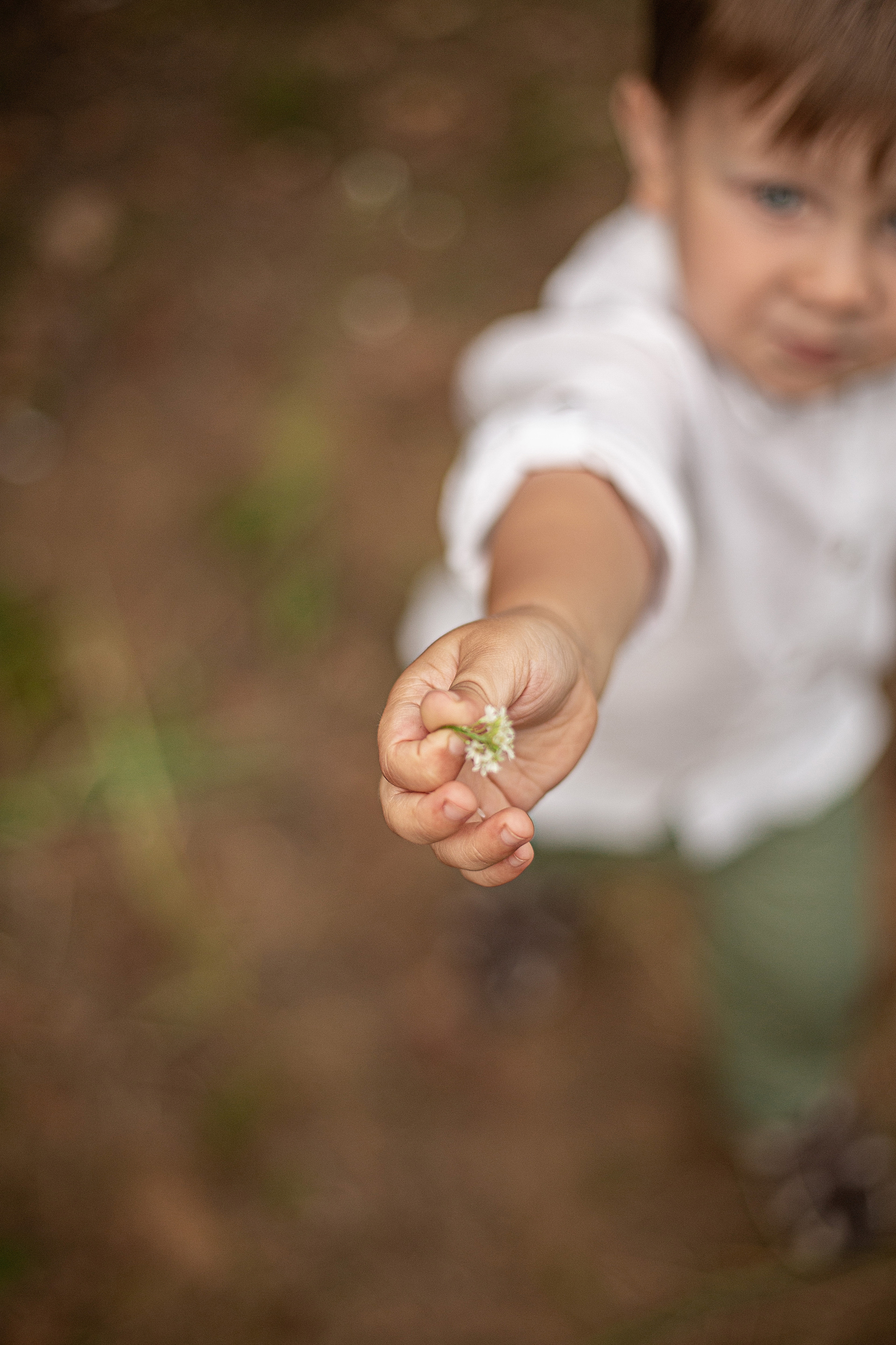 Олененок. Свадебный и семейный фотограф