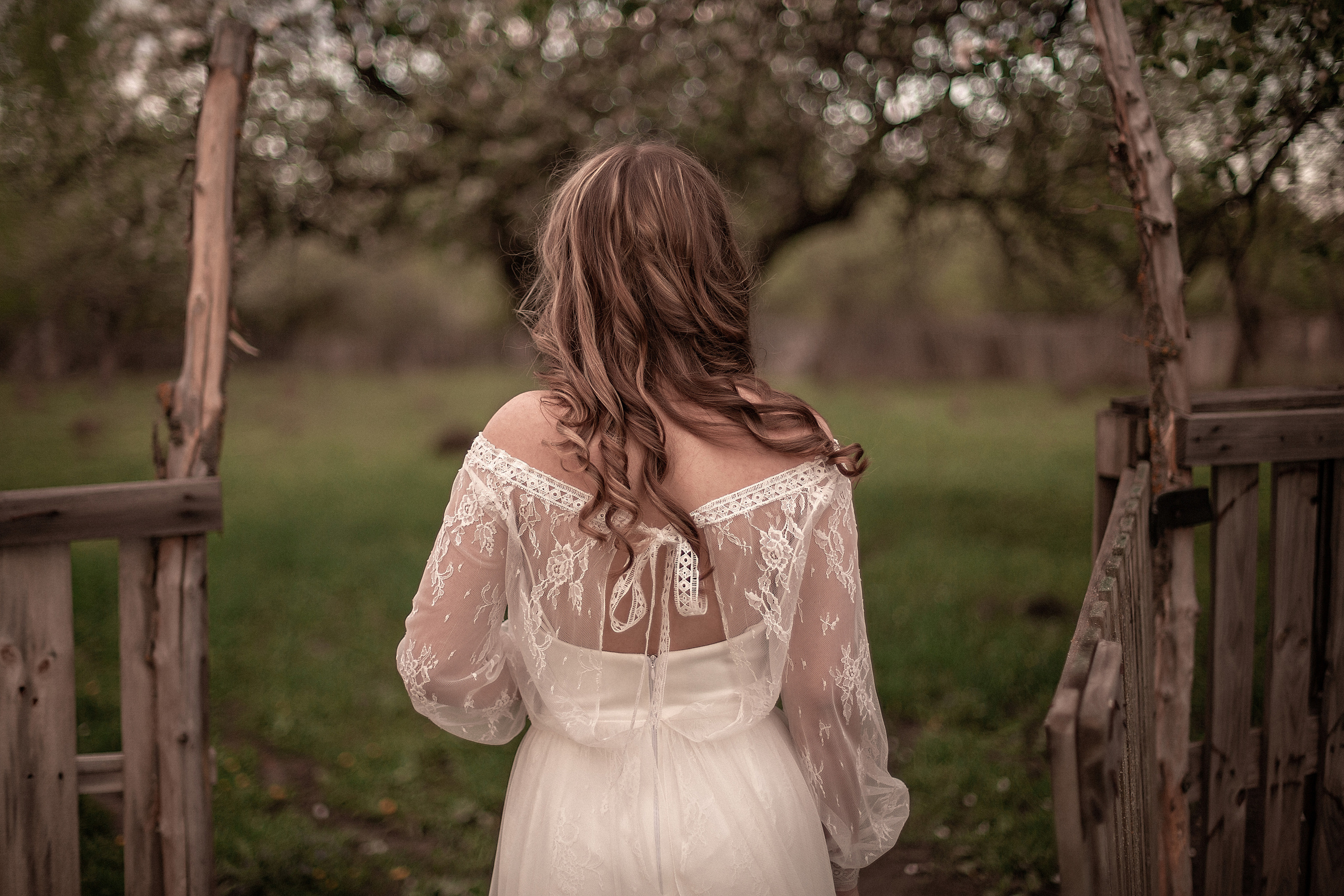 Ягненок. Свадебный и семейный фотограф