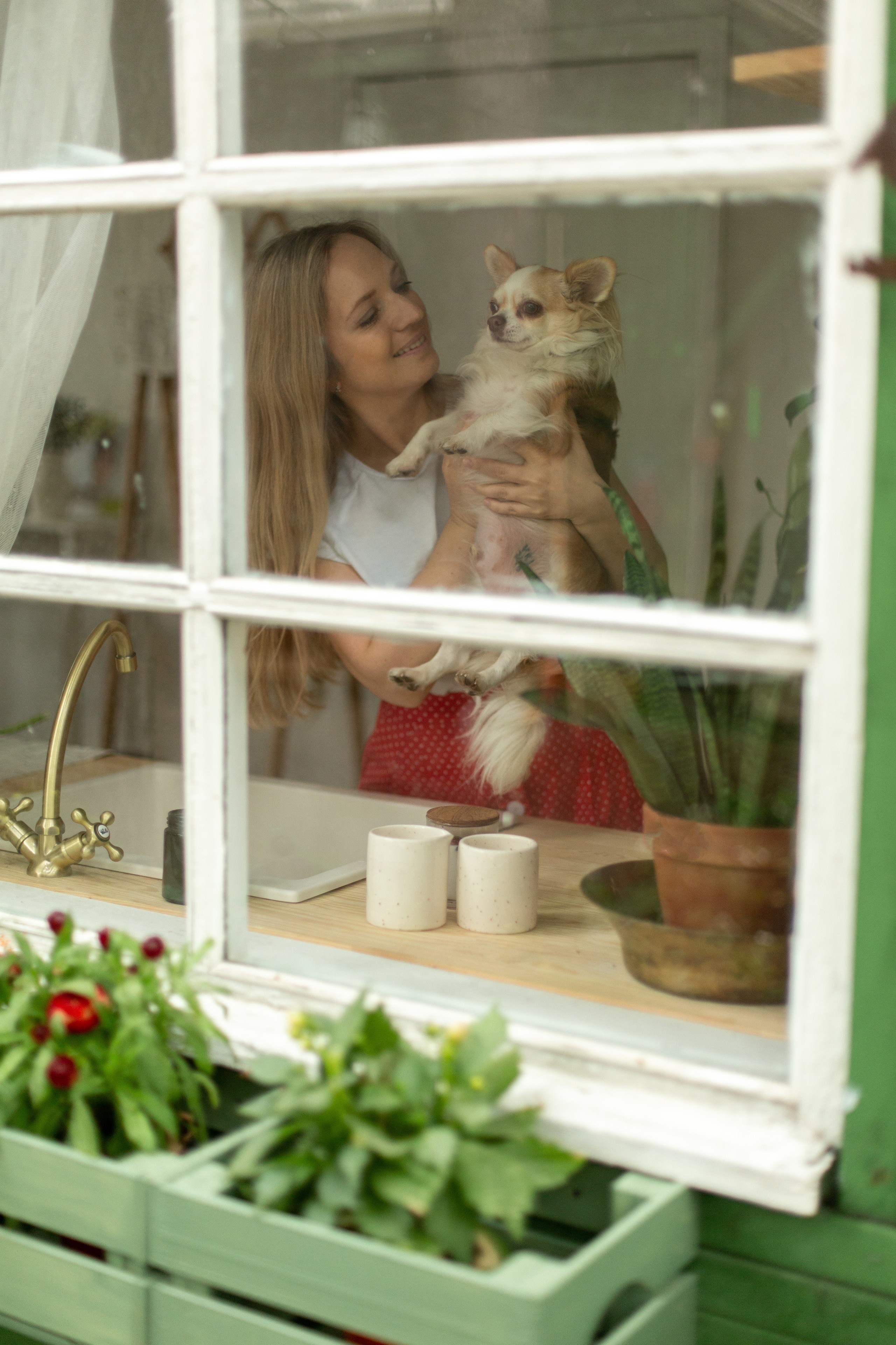 Блог о животных. Свадебный и семейный фотограф