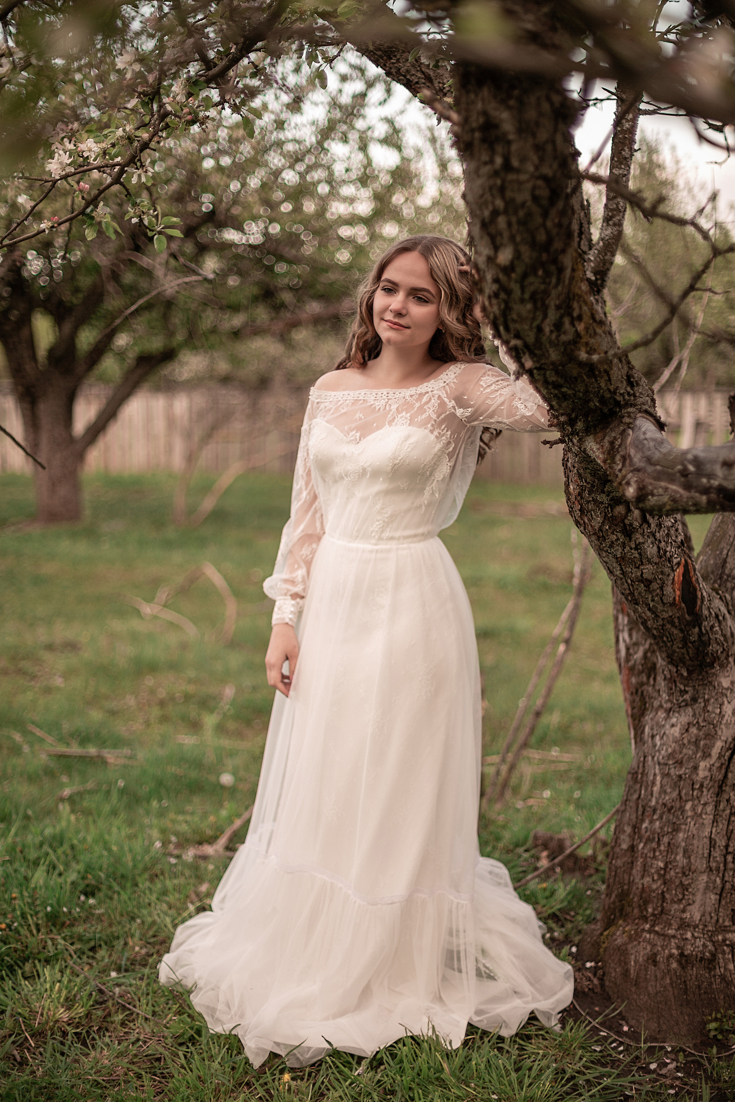 Ягненок. Свадебный и семейный фотограф