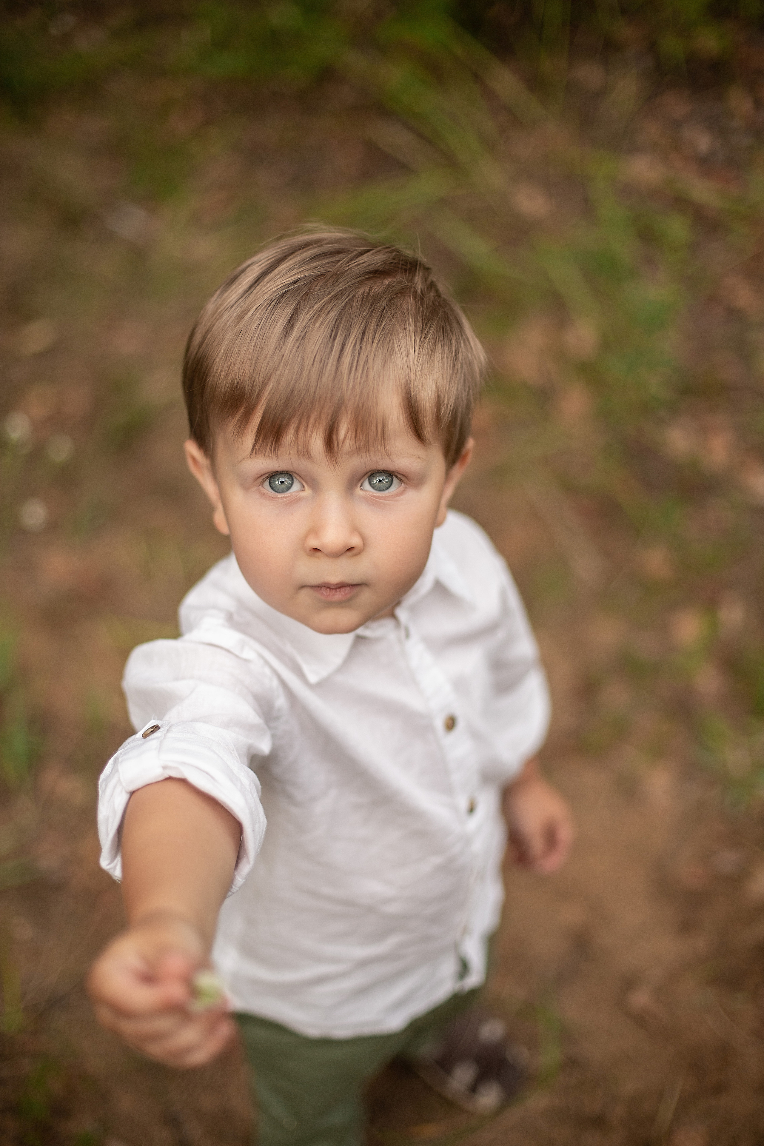 Олененок. Свадебный и семейный фотограф