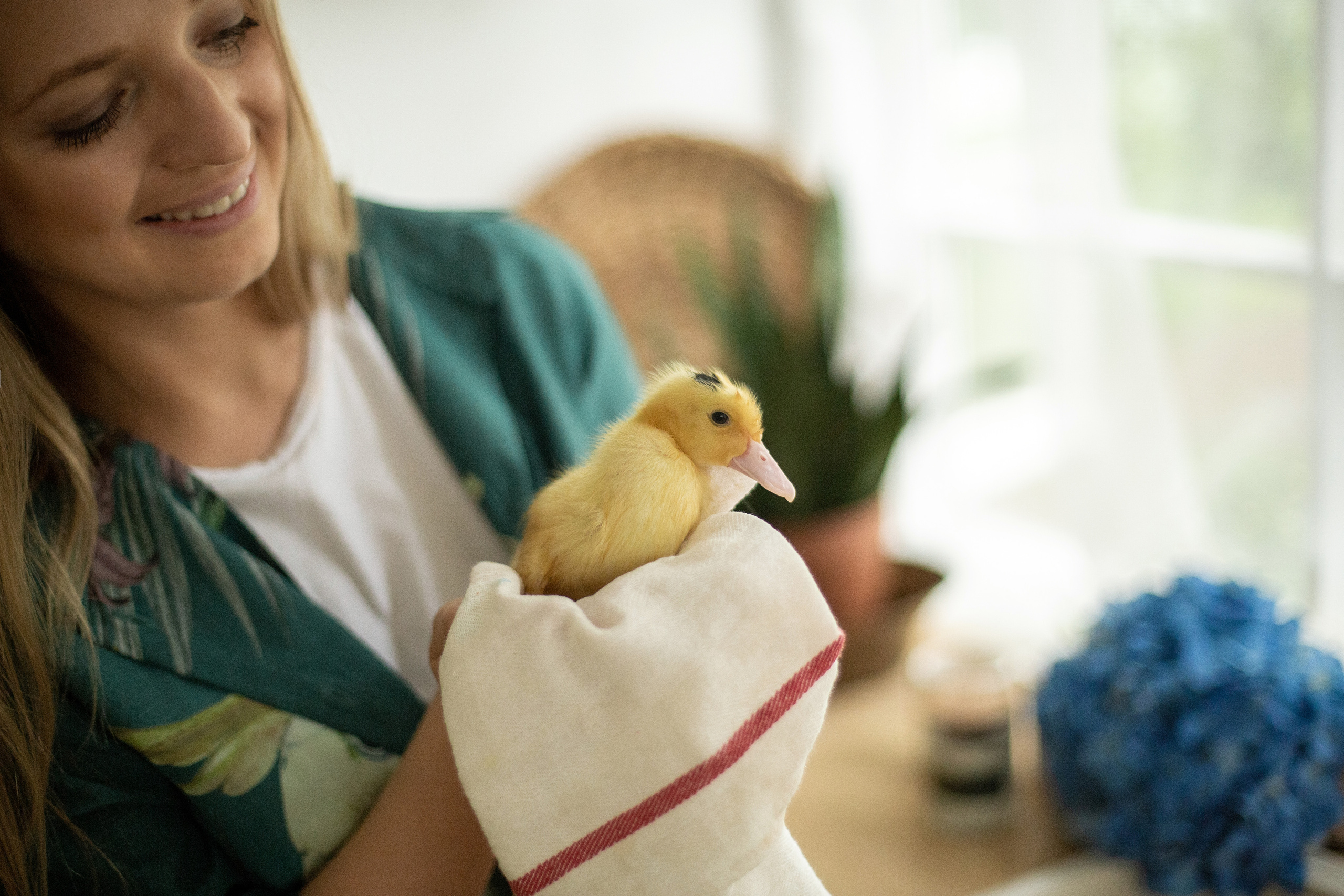 Блог о животных. Свадебный и семейный фотограф