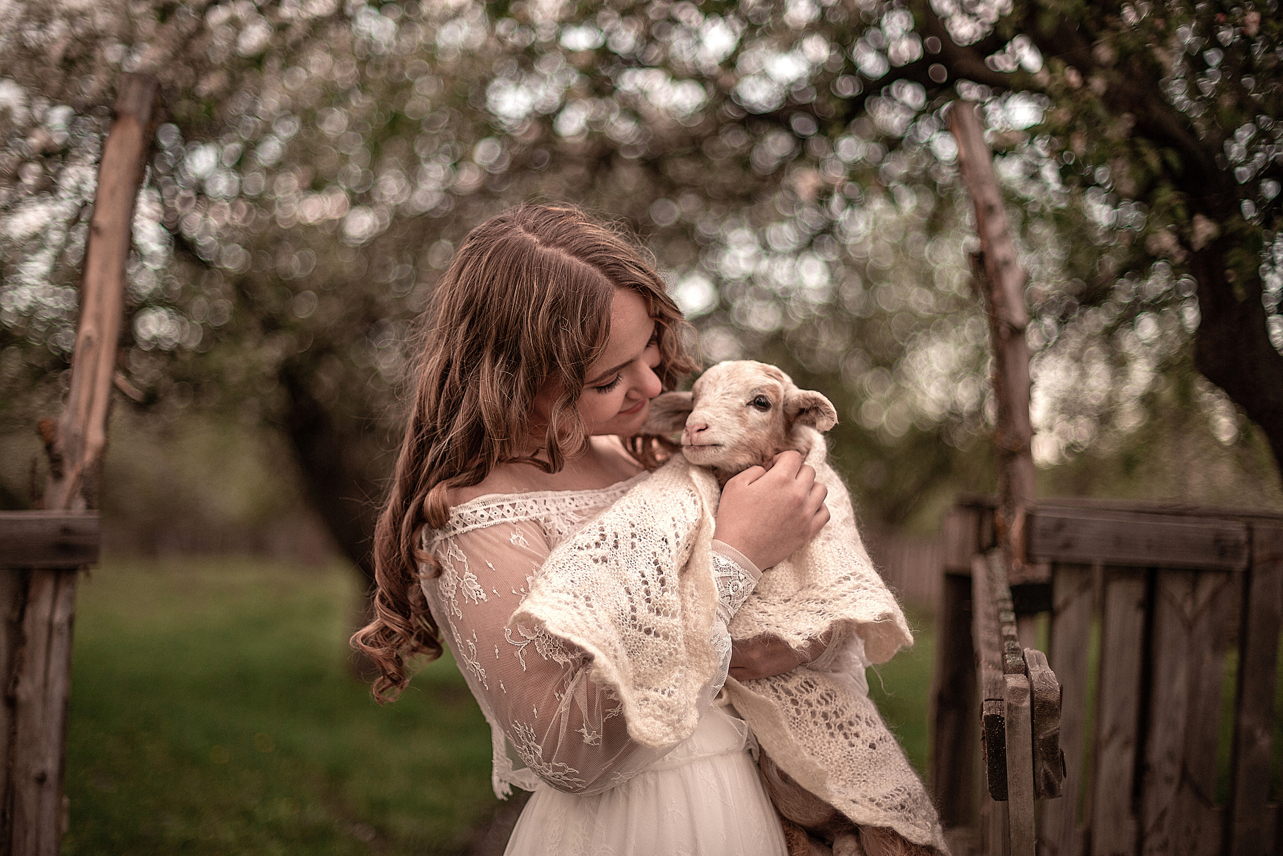 Ягненок. Свадебный и семейный фотограф
