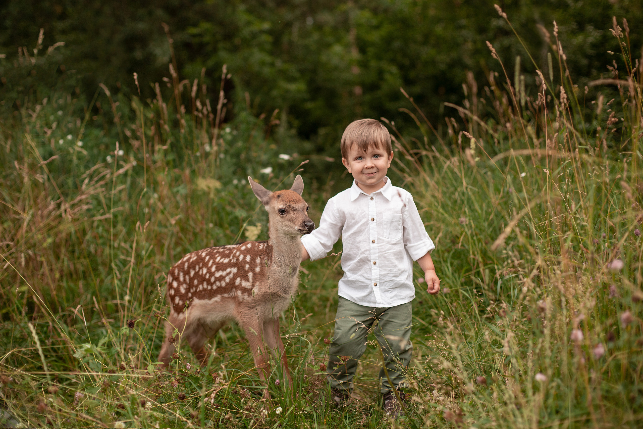 Олененок. Свадебный и семейный фотограф