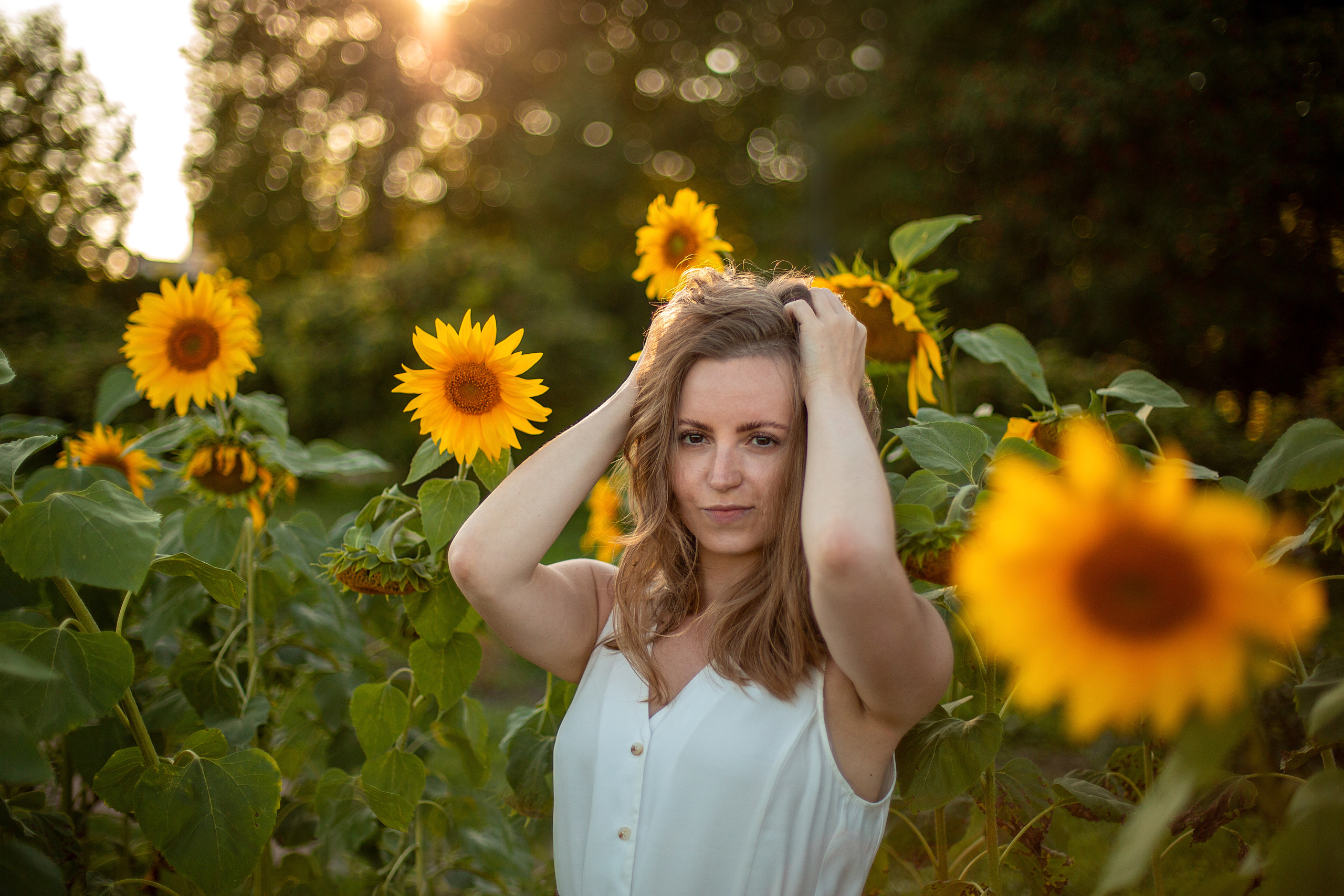 Подсолнухи. Свадебный и семейный фотограф