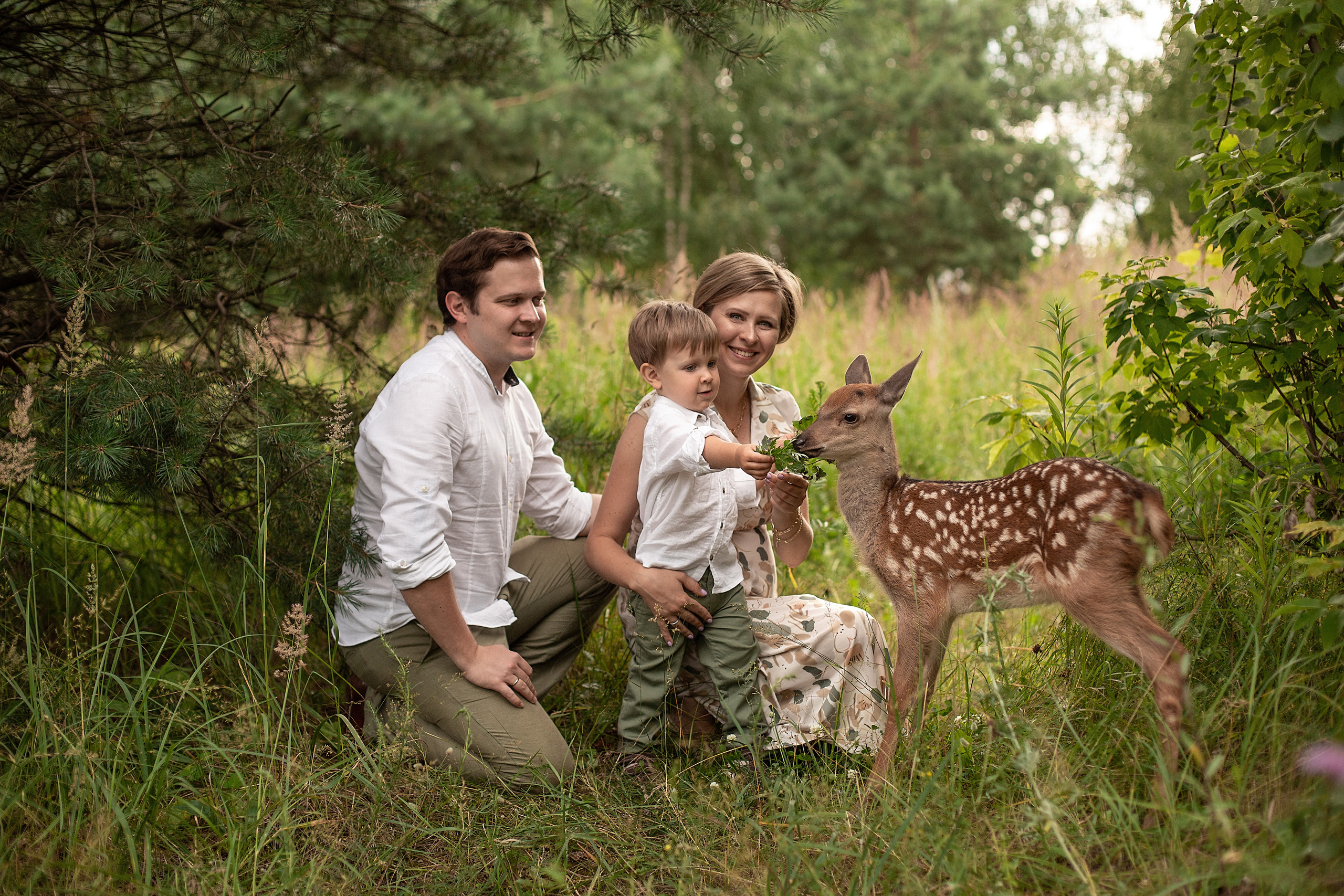 Олененок. Свадебный и семейный фотограф