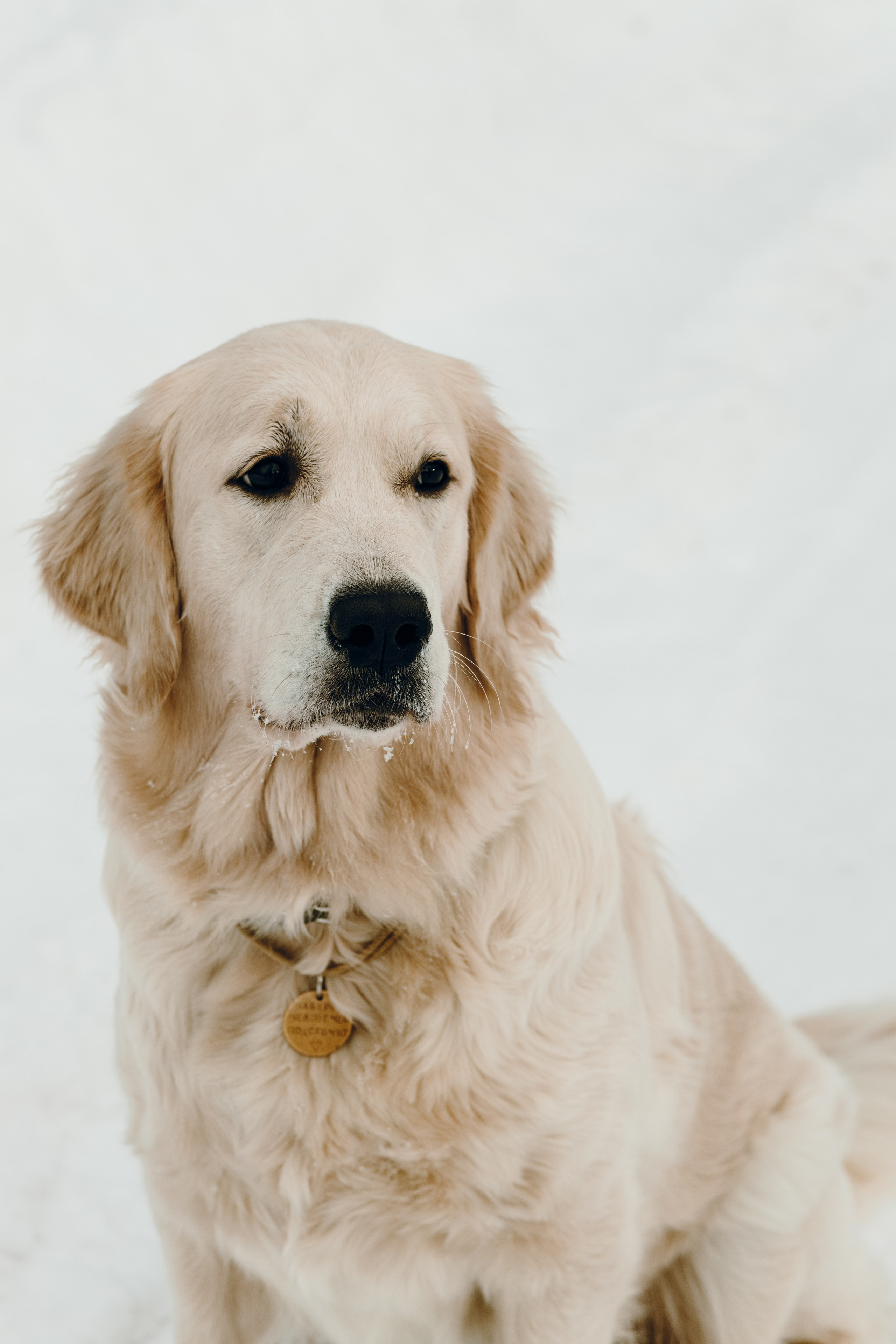 Эва и Настя. Анна Самохина. Фотограф. Москва