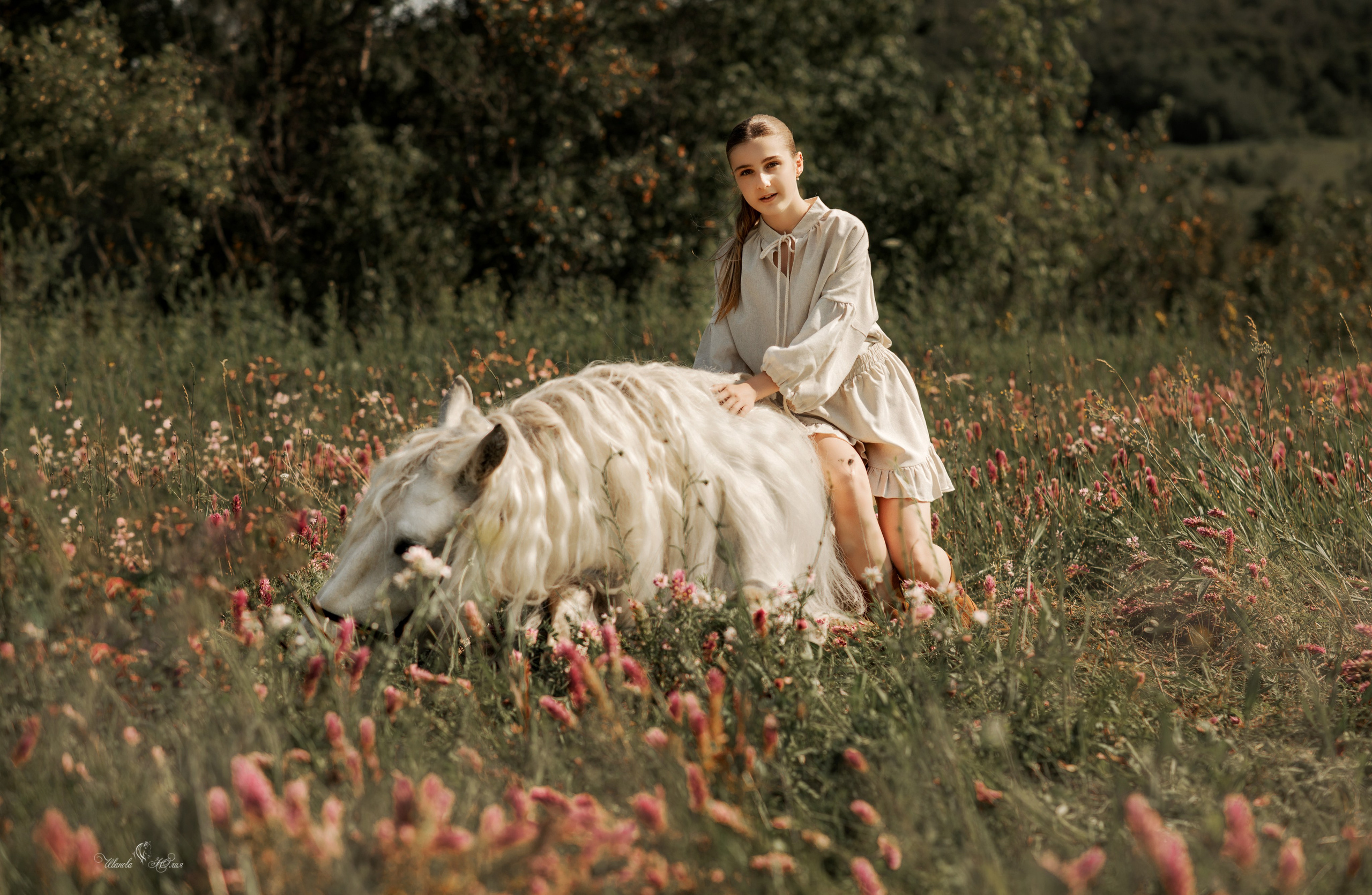 Маргарита и Вымпел. Конный фотограф в Саратове Юлия Иванова