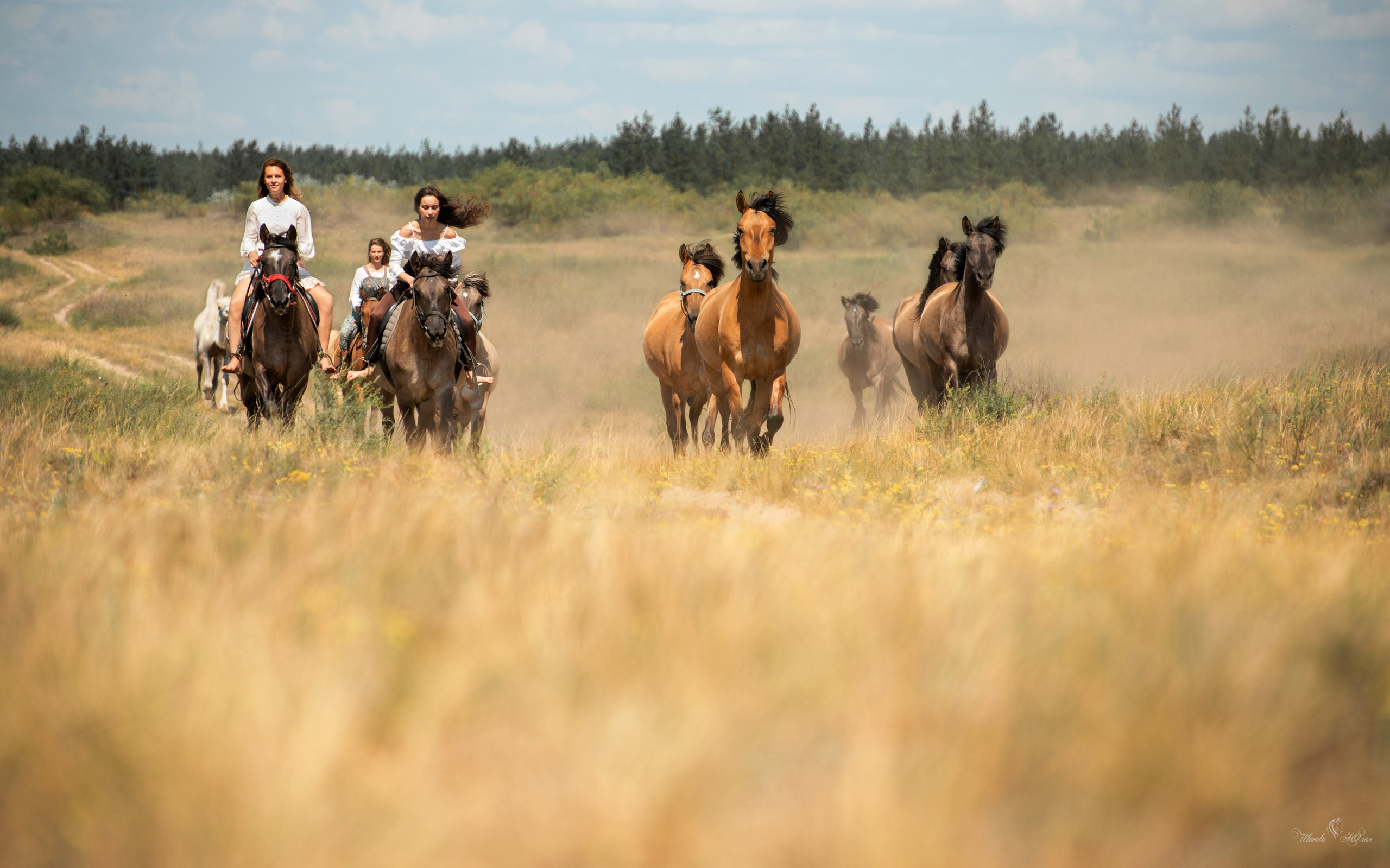 Купала в Родославном. Конный фотограф в Саратове Юлия Иванова