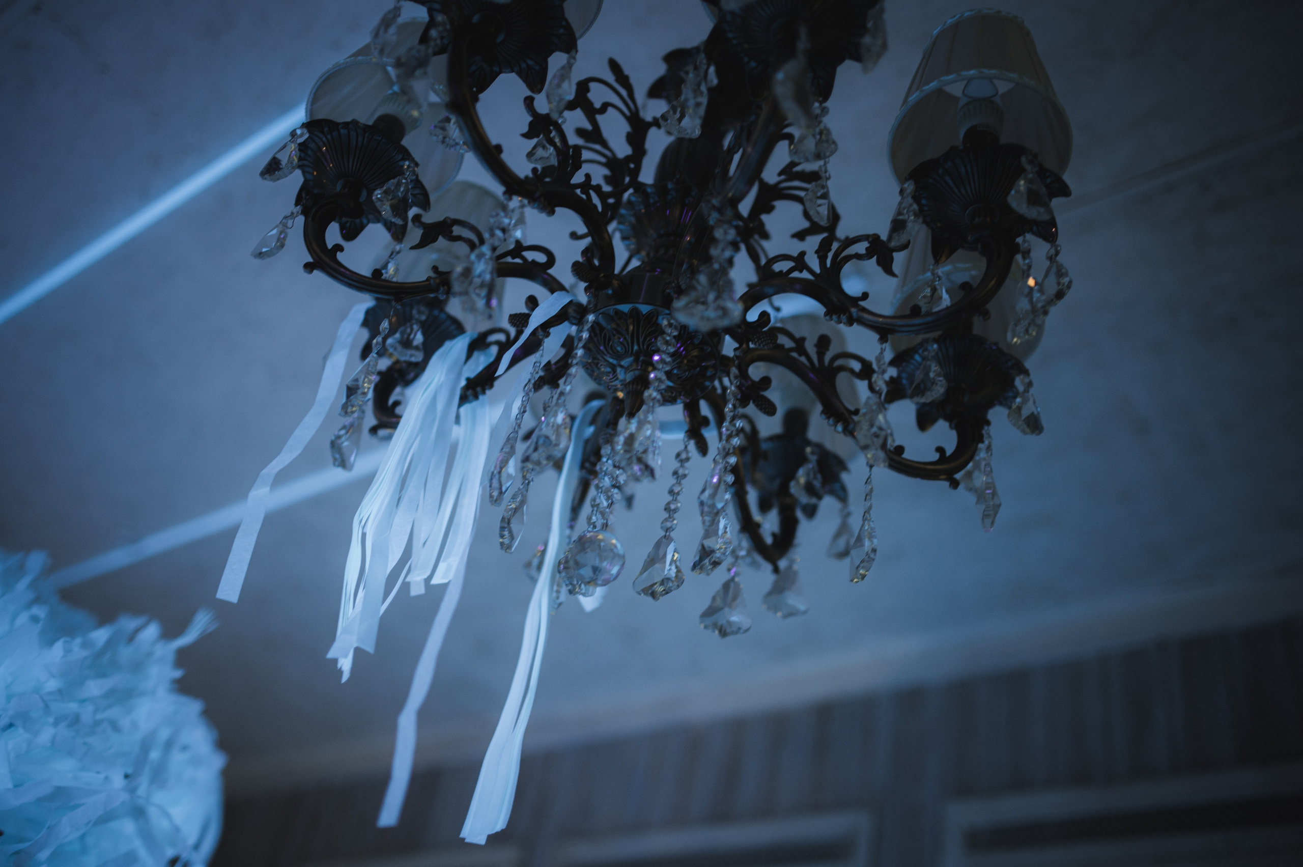 ДР Алисы. Свадебный и портретный фотограф в Москве Жердев Даниил