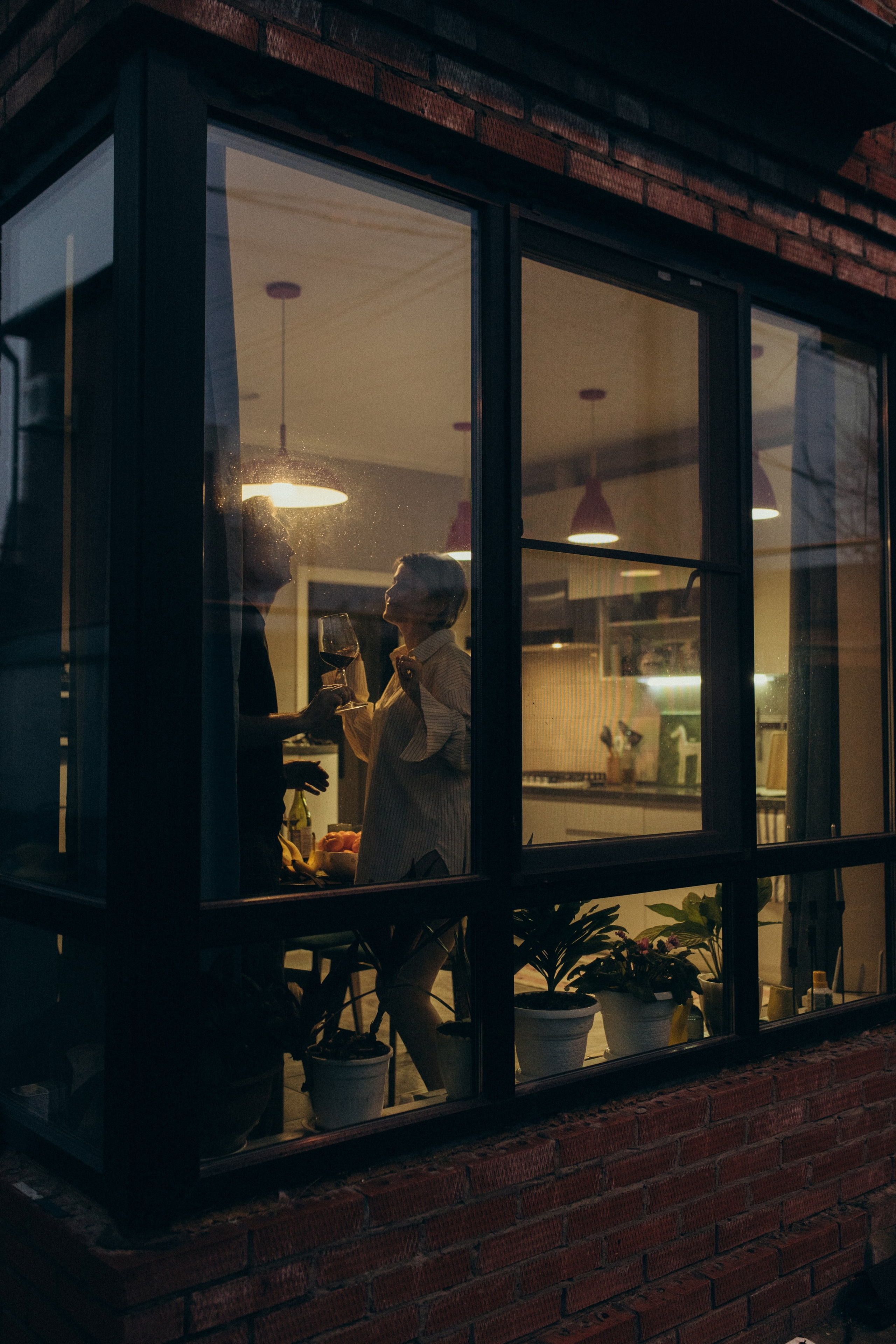 Домашняя история. Meryfotoidea