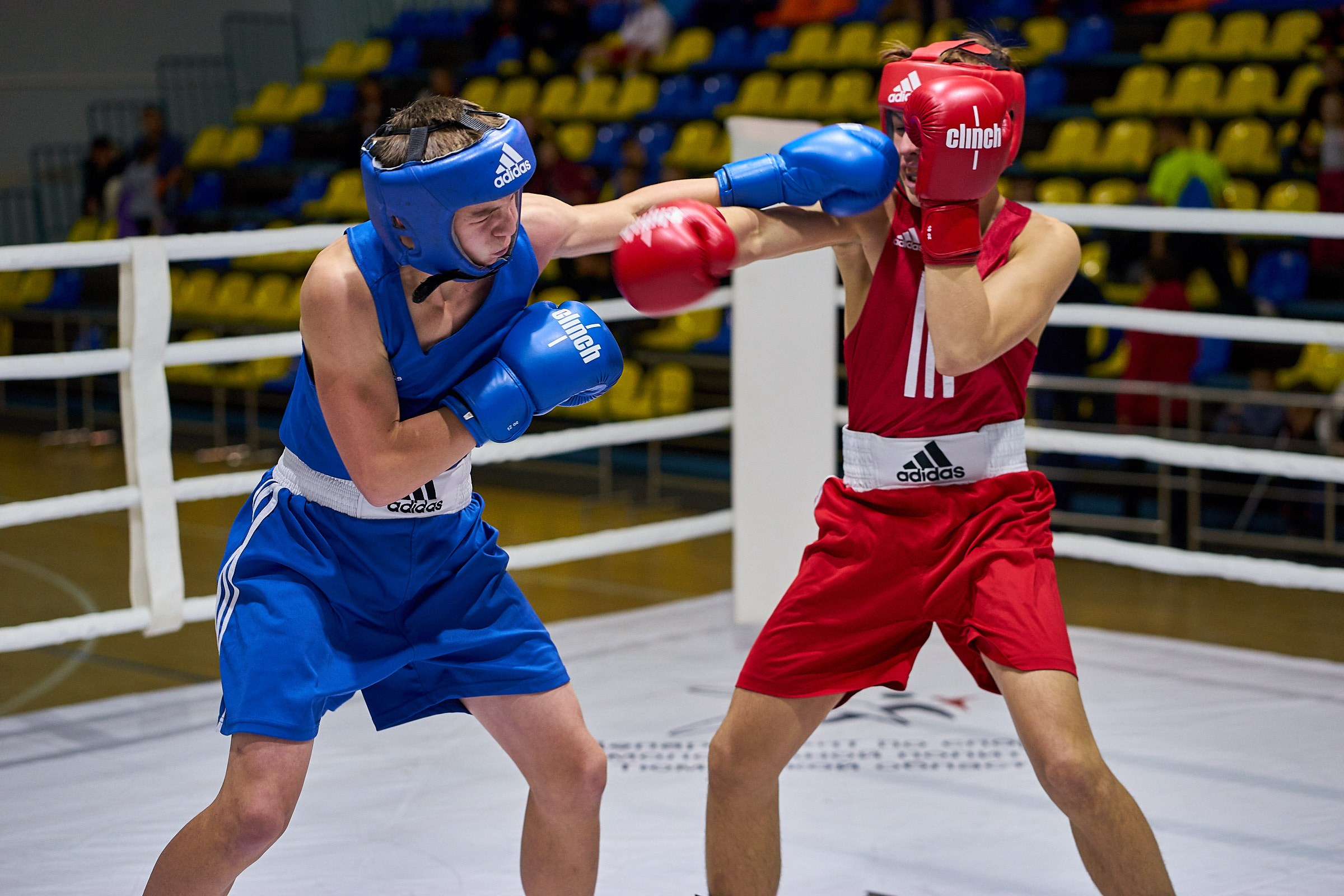 Соревнования по боксу 2017 г. Тюмень. Фотограф Станислав Баев