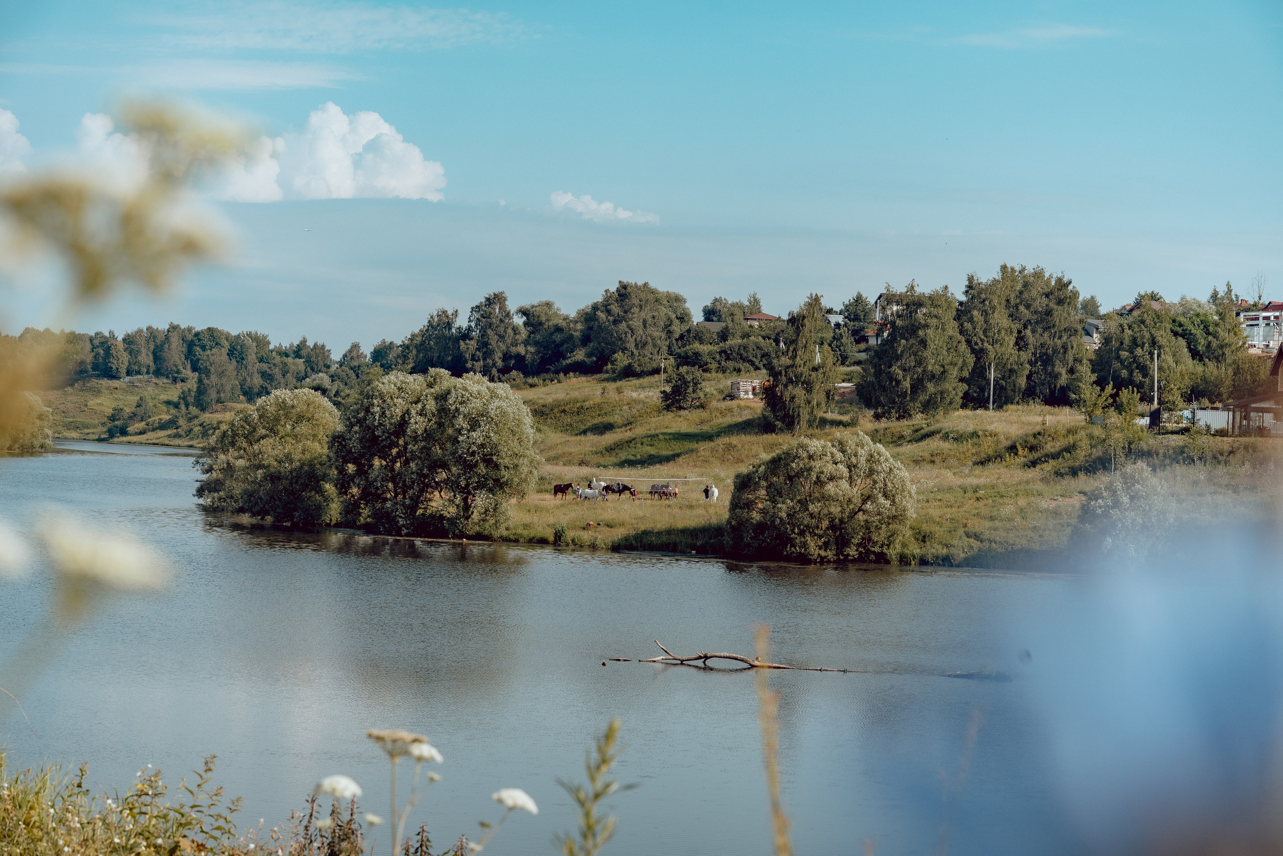 Купание лошадей 05.07.2024. Портретный и семейный фотограф в Москве/Видное