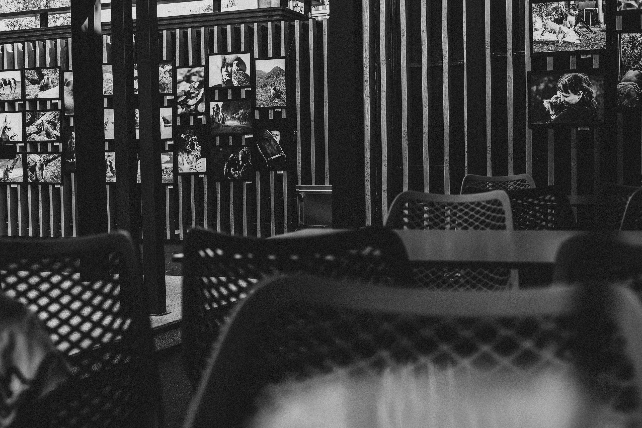 Выставки. Семейный и детский фотограф в Алматы Юровских Инесса