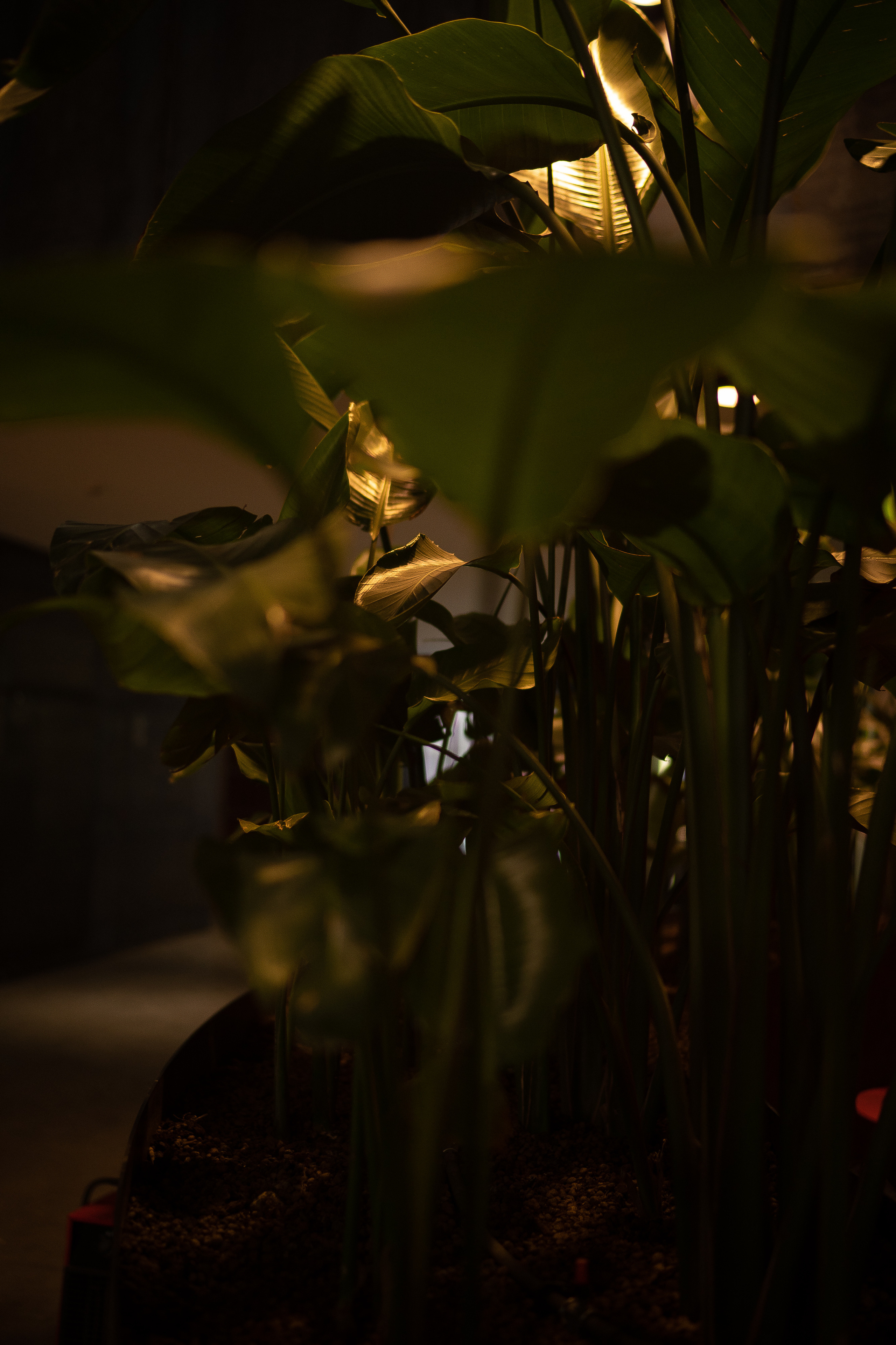 Ира в СУПЕРМЕТАЛ. Искренний фотограф