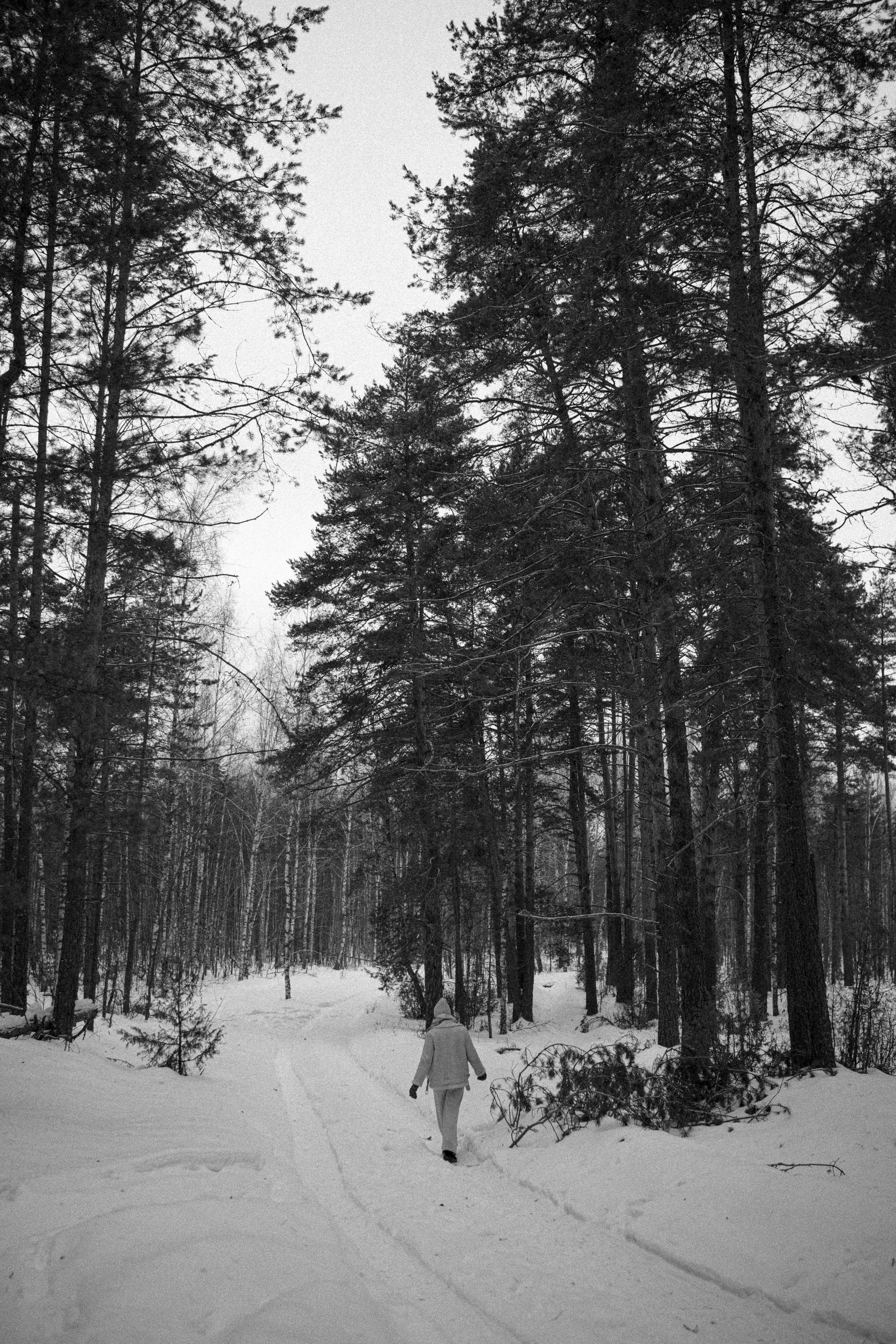 Настя. Искренний фотограф