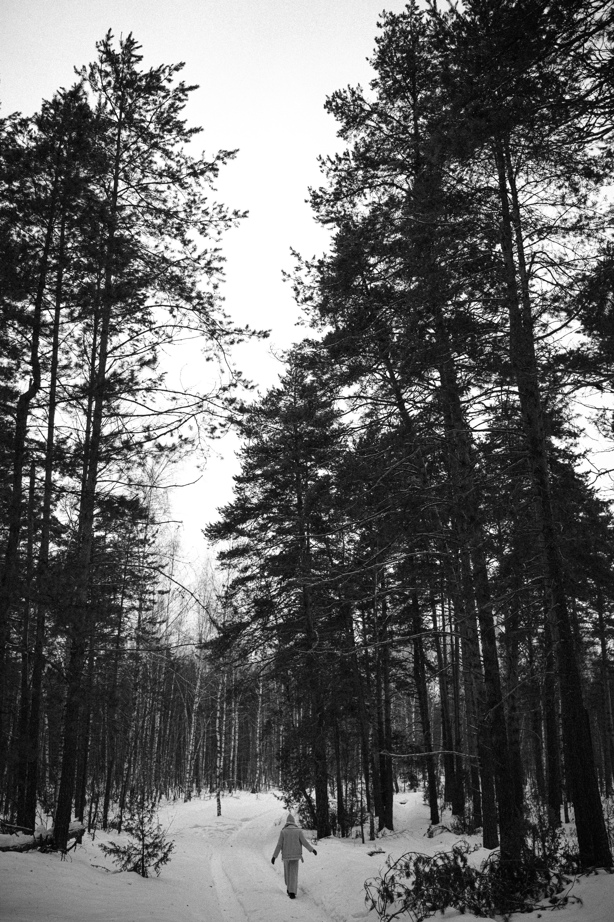 Настя. Искренний фотограф