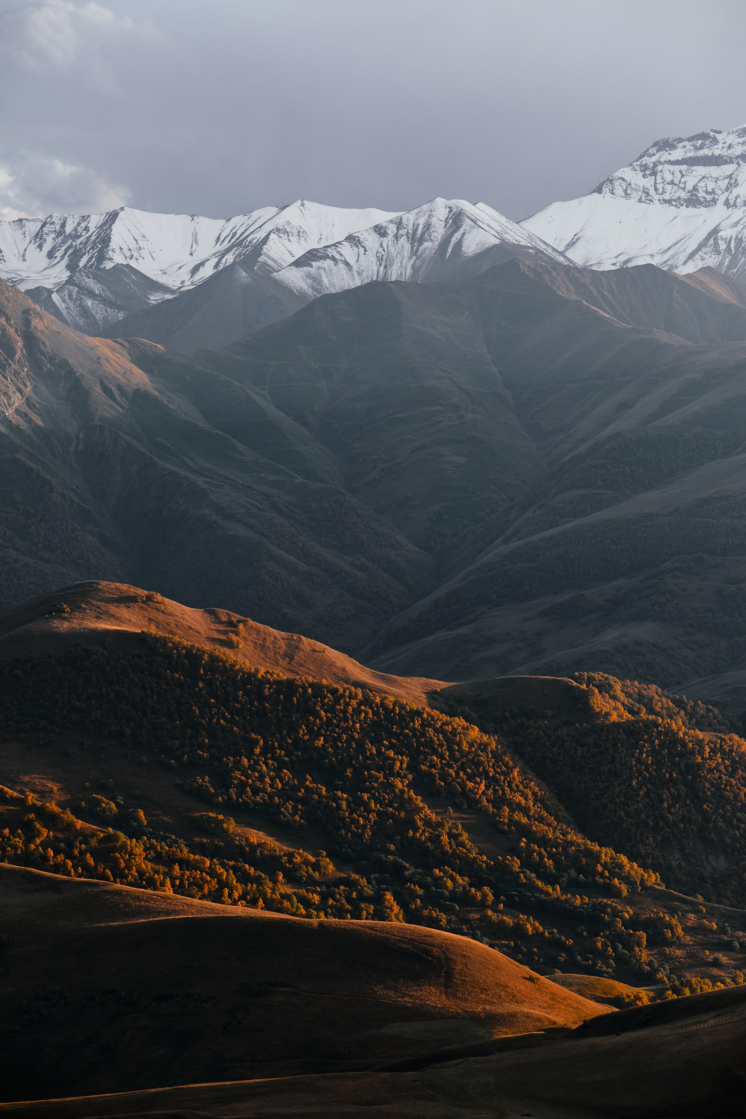 Лха 2500. Фотограф Продюсер в горах КБР / Москва  Нальчик Горы