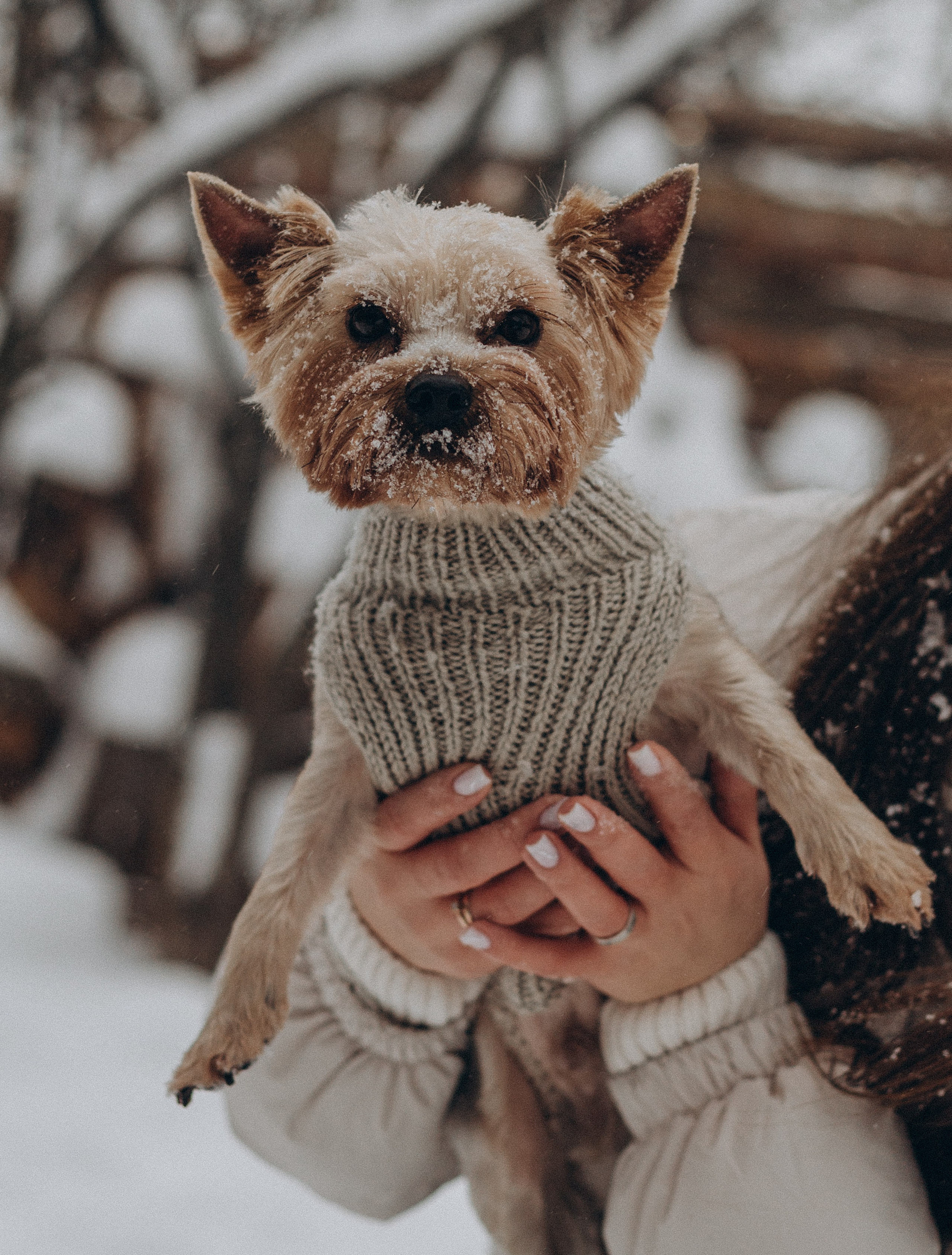 Семья. Семейный фотограф в Нижнем Новгороде