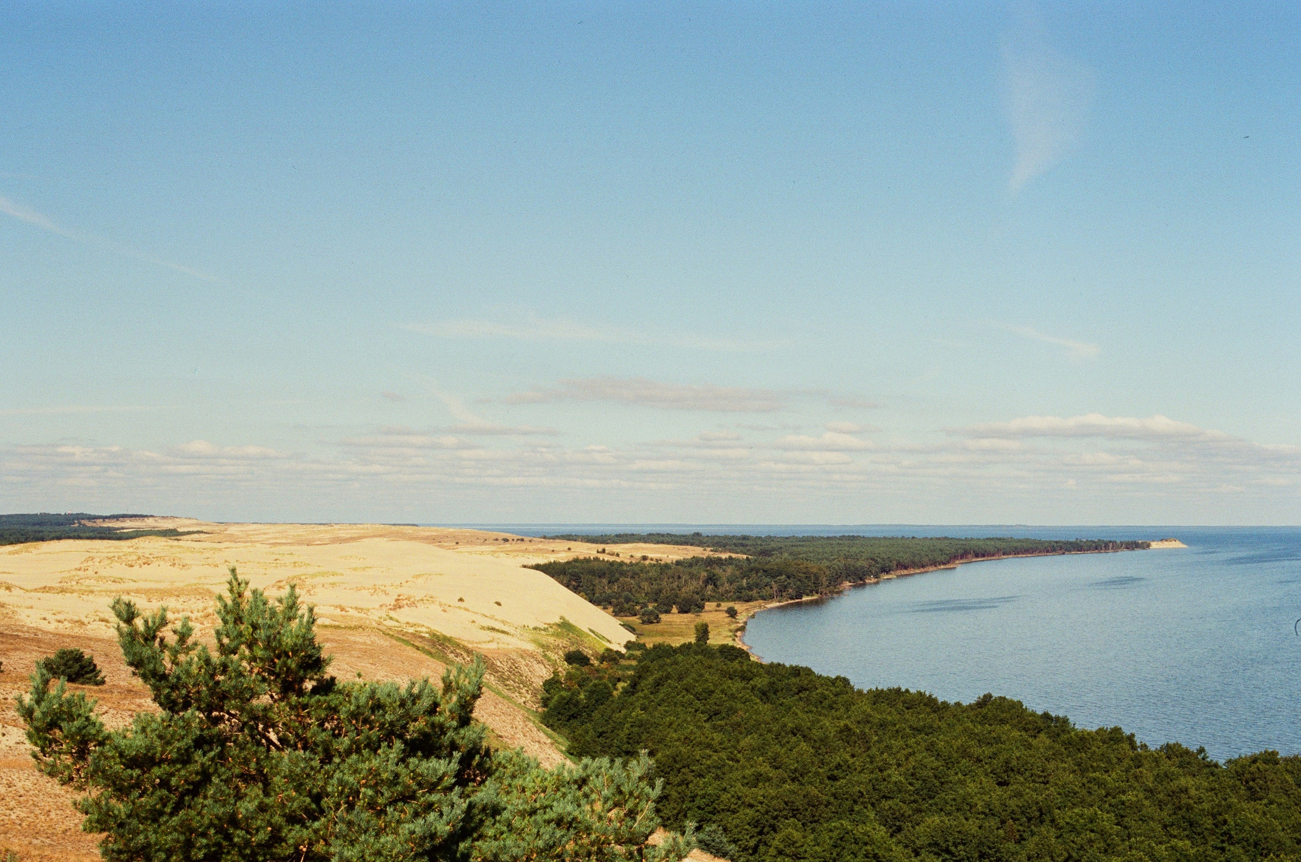 Плёнка🎞️. Фотограф в Москве Ксюшенька