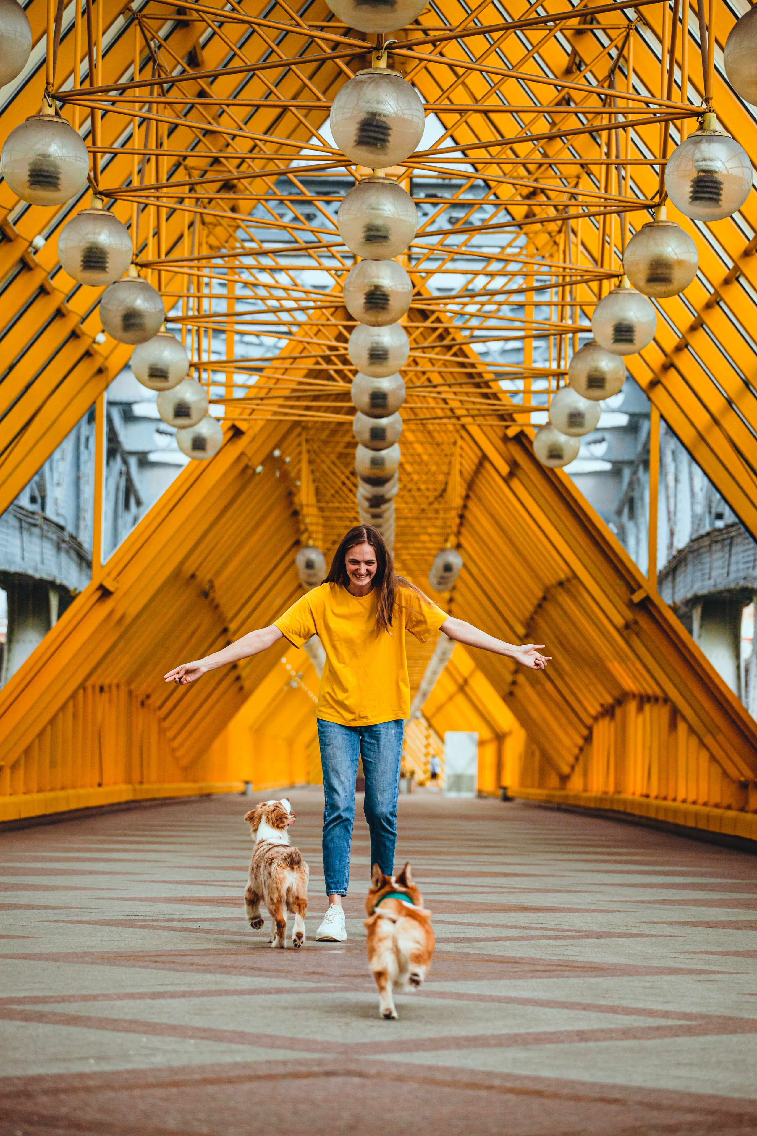 Андреевский мост. Фотограф-анималист Татьяна Степанова