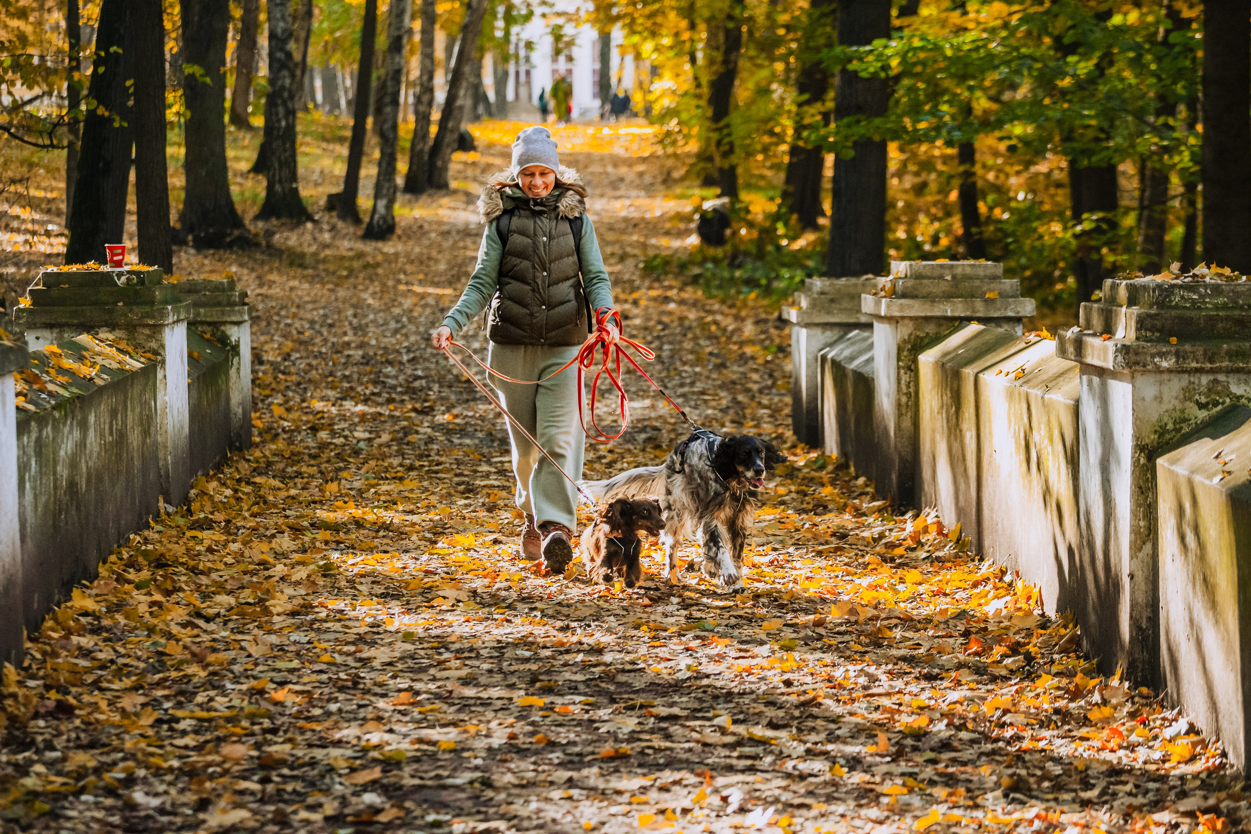 Света, Хайди, Богдана. Фотограф-анималист Татьяна Степанова