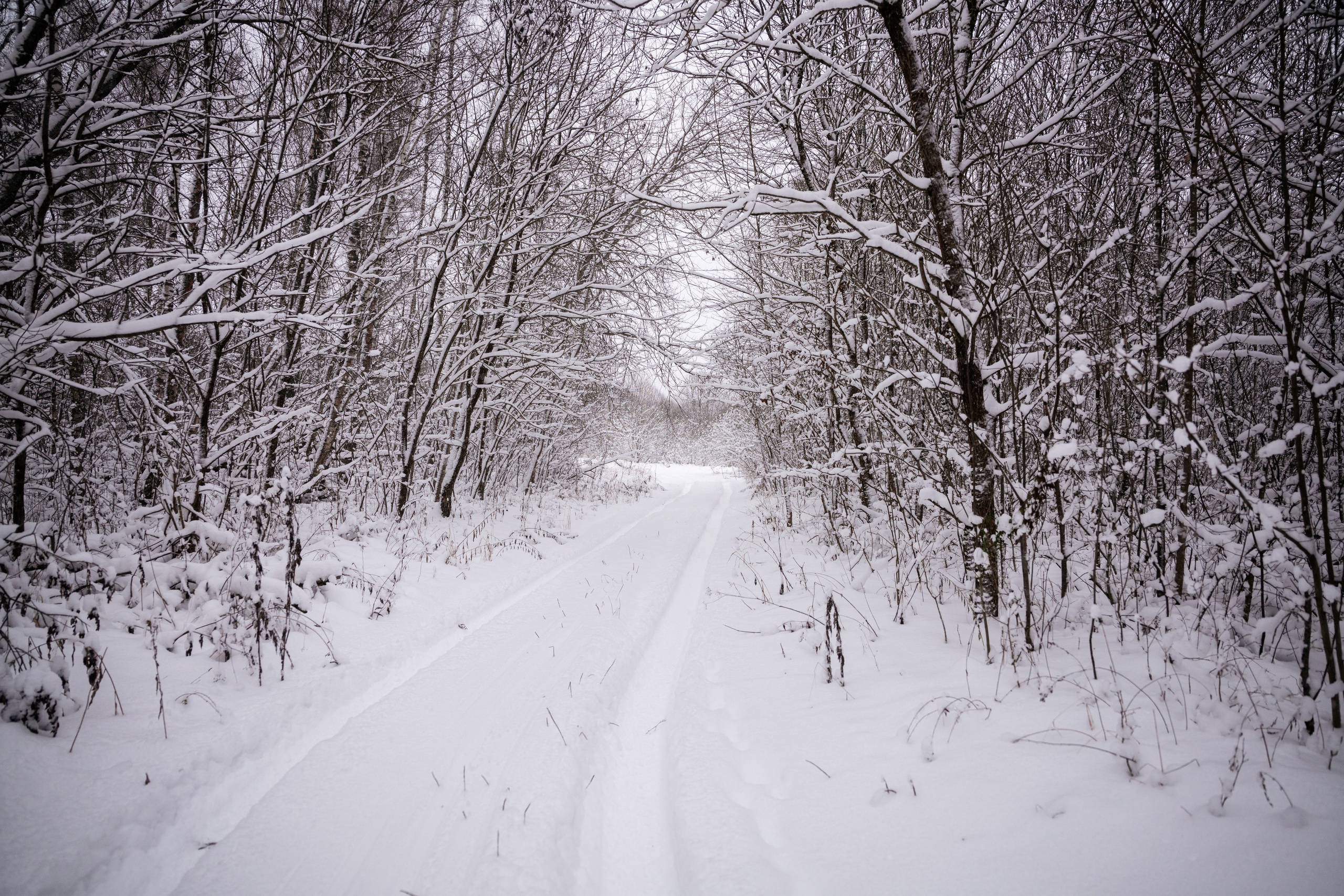 Поездка к р. Песочня и деревне Раевское. Vlad Trykov
