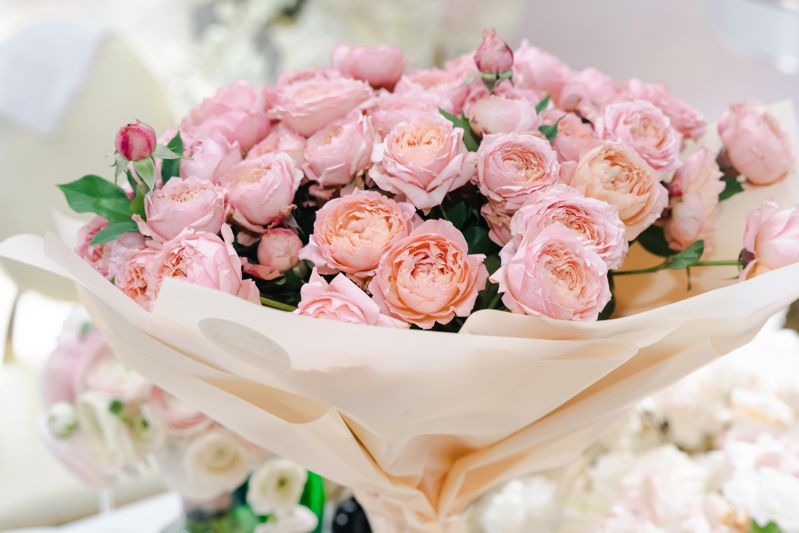 Григорий и Геге. Свадебный фотограф Красноярск Вязьминова Мария