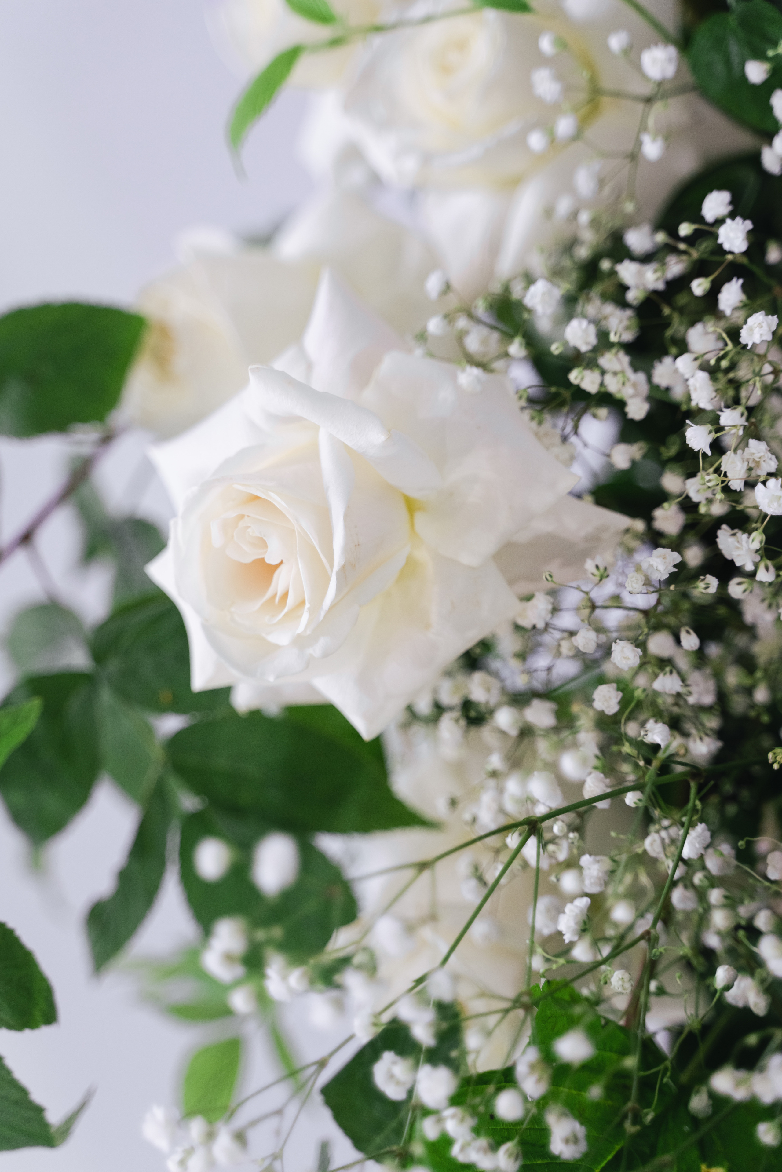 Свадебный фотограф Красноярск Вязьминова Мария