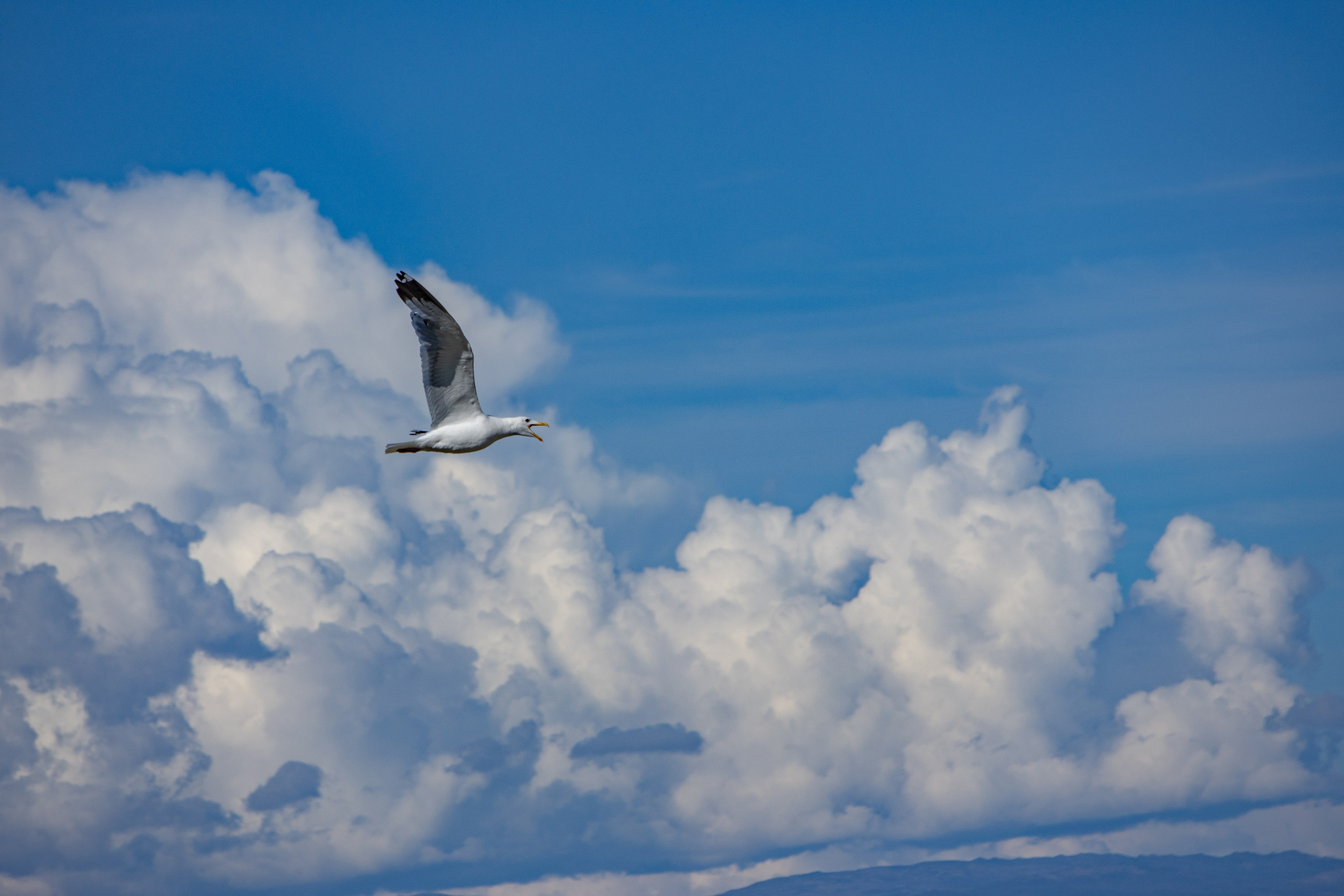 Байкал. Jean De Vivre Gallery