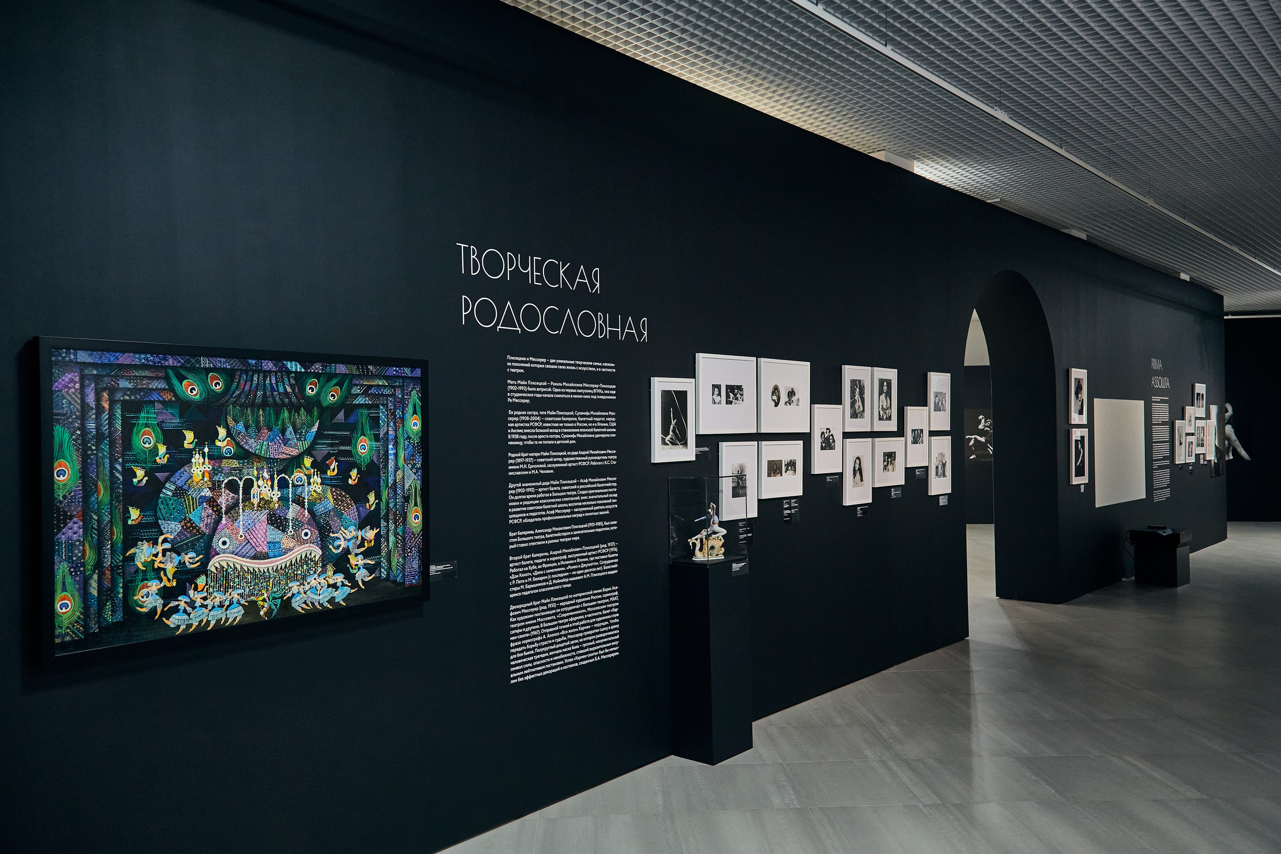 Выставка «Майя Плисецкая. Полюс магии». Даниил Гузиенко — репортажный фотограф в Туле