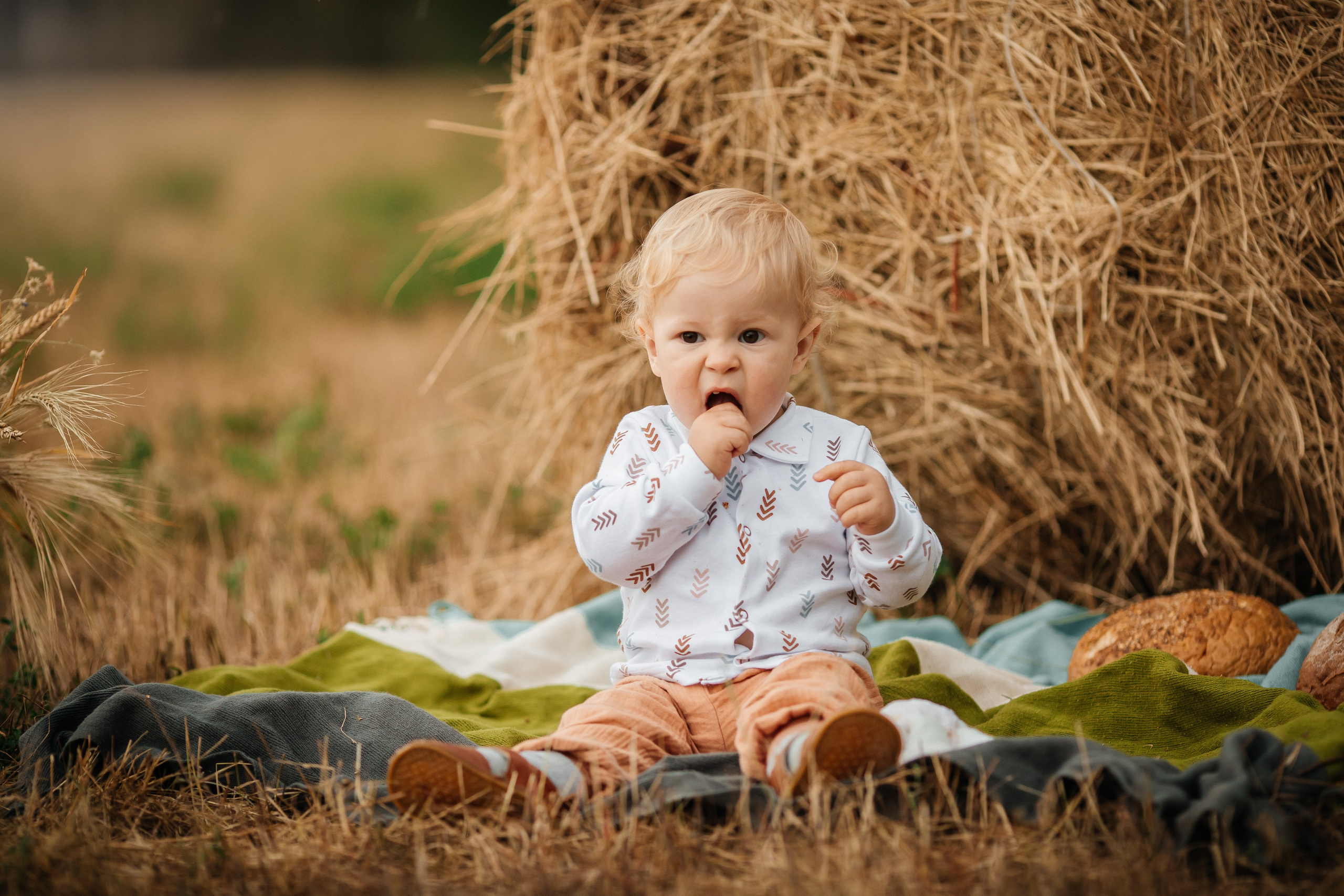 Лето на закате. Olga.filippova.photo
