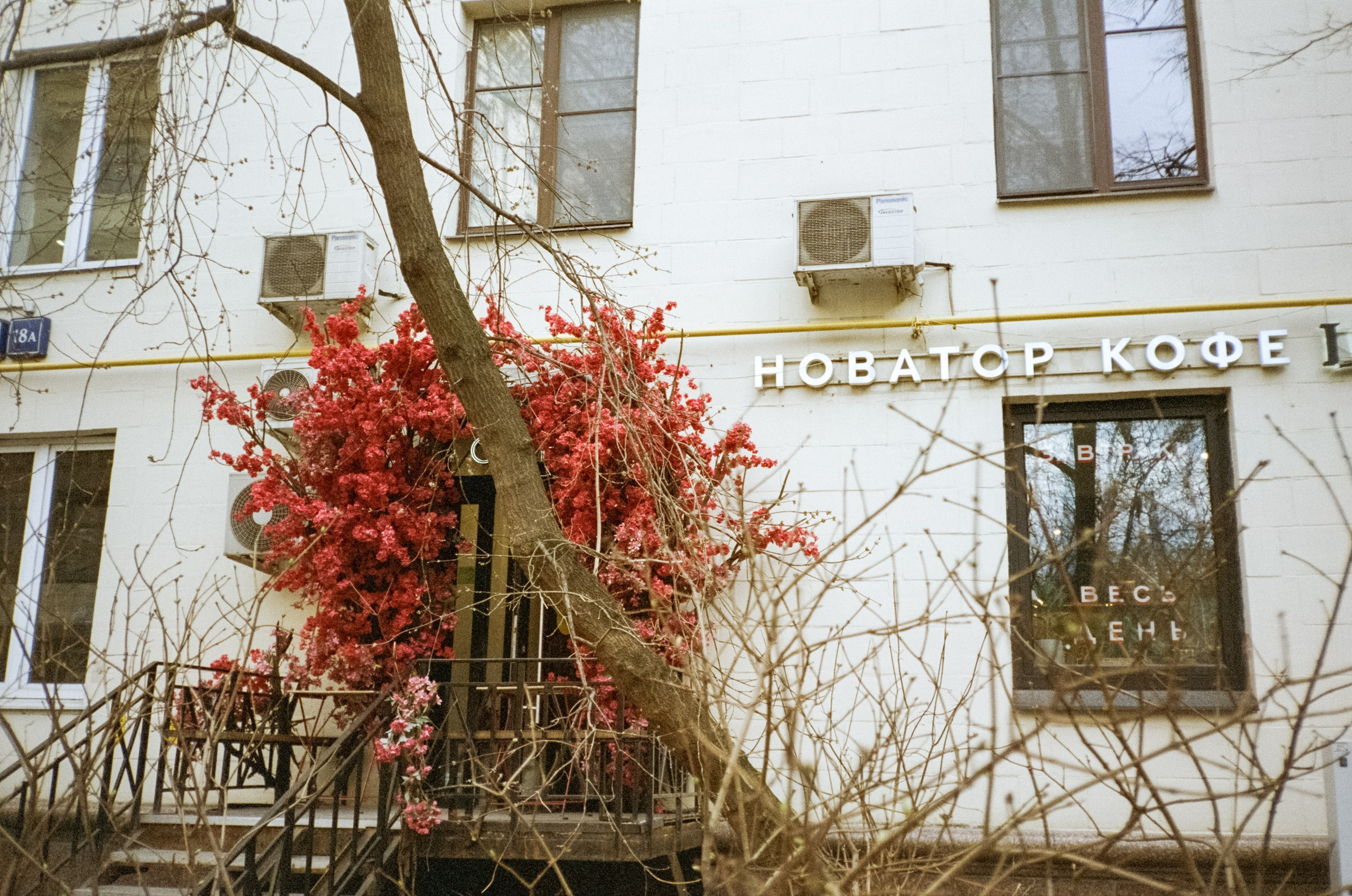 Весенняя прогулка от Скуратова до Патриков. Фотограф-документалист Мария Осокина