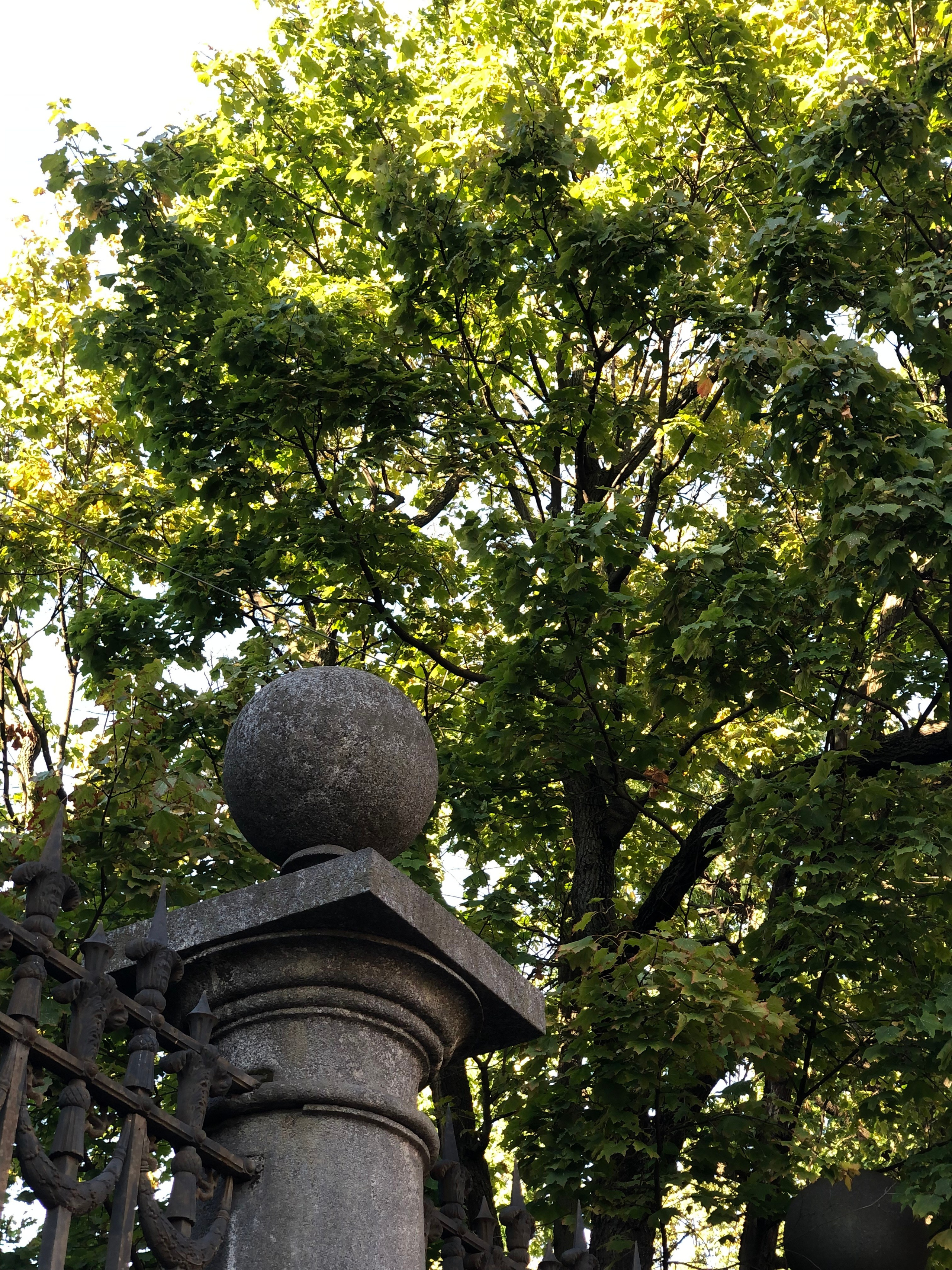 Сентябрь. Семейный, Свадебный фотограф СПБ Питер— Романова Екатерина