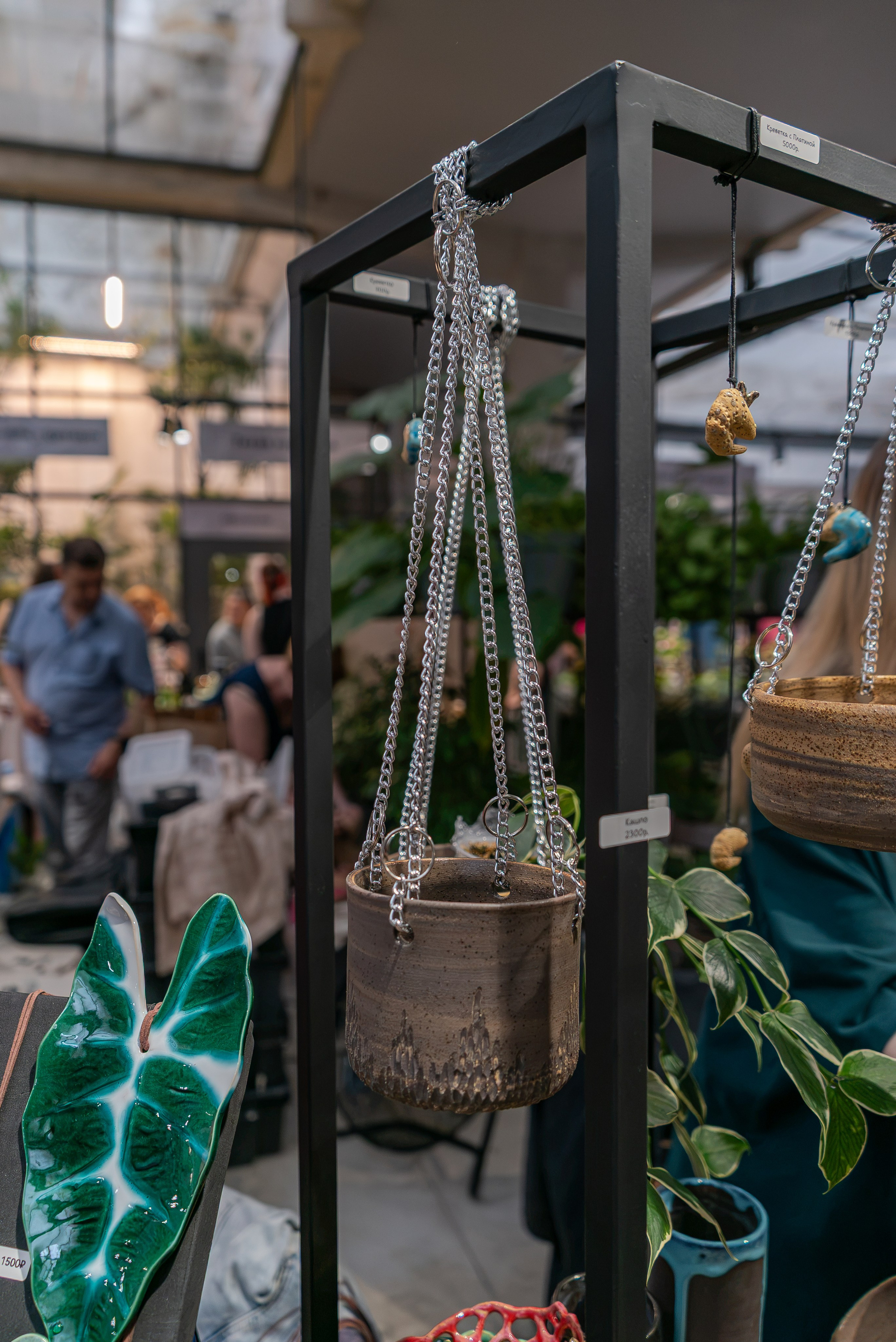 Greenrare июль. Александра Куликова фотограф, Москва