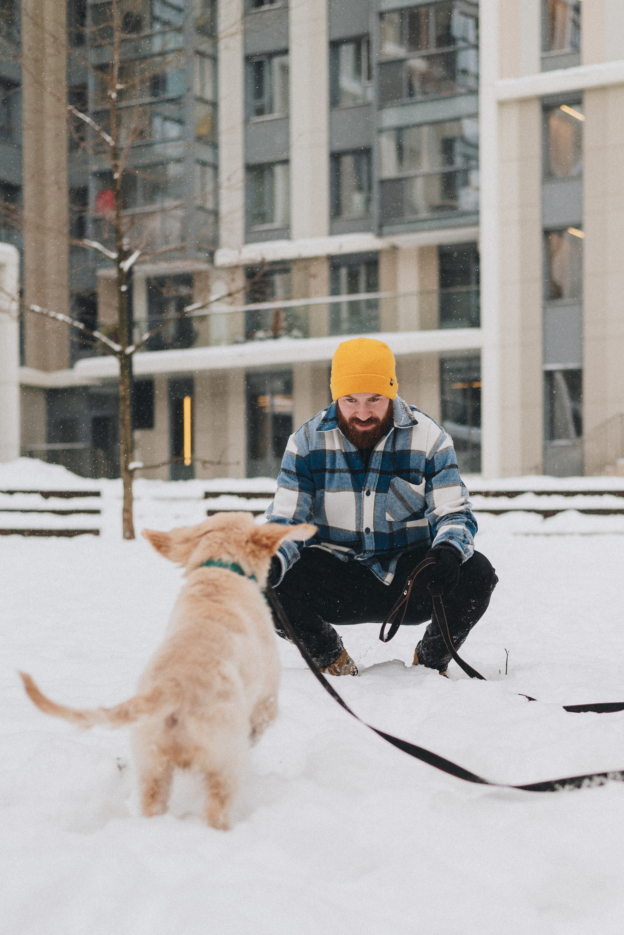 Sonia, Denis & Baggi. Natalia Finch Photography — Family, Kids & Pet Photographer in Chicago, IL