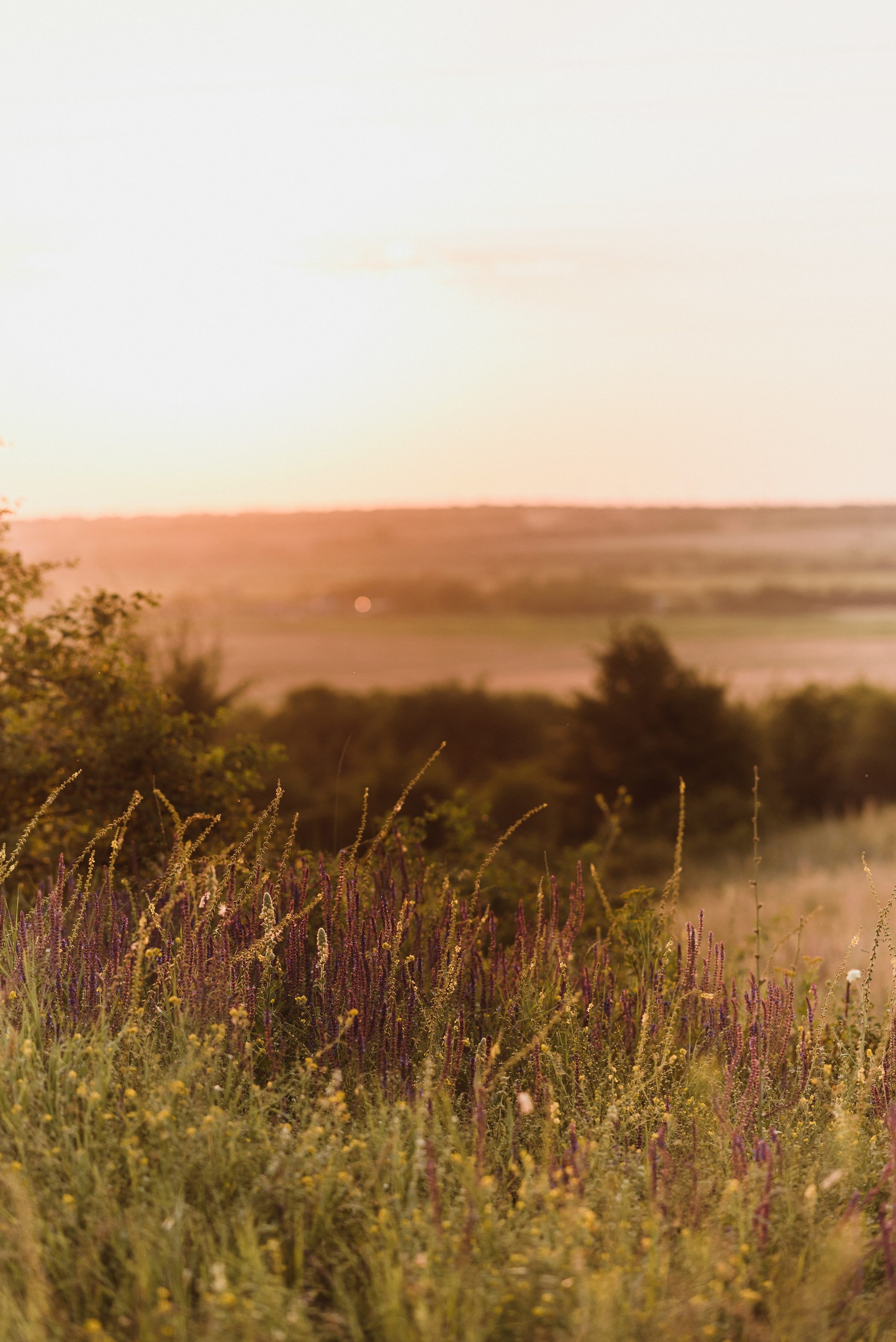 Вова, Кристина и Полина. Свадебный фотограф и видеограф